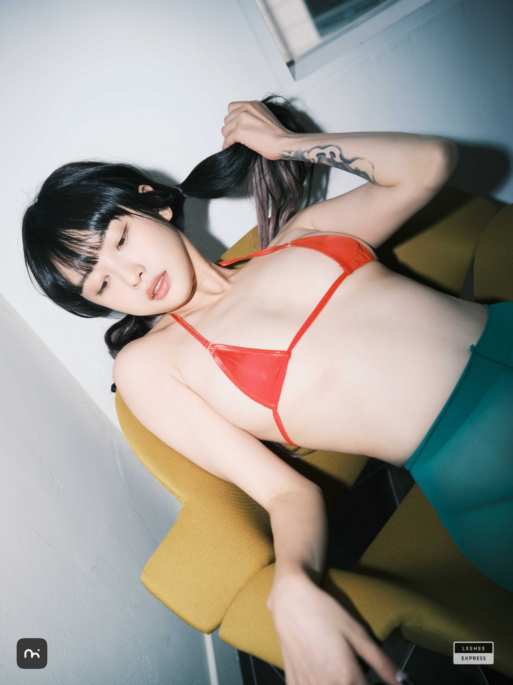 [LEEHEE EXPRESS] LEDG-195C - GMS  第3张