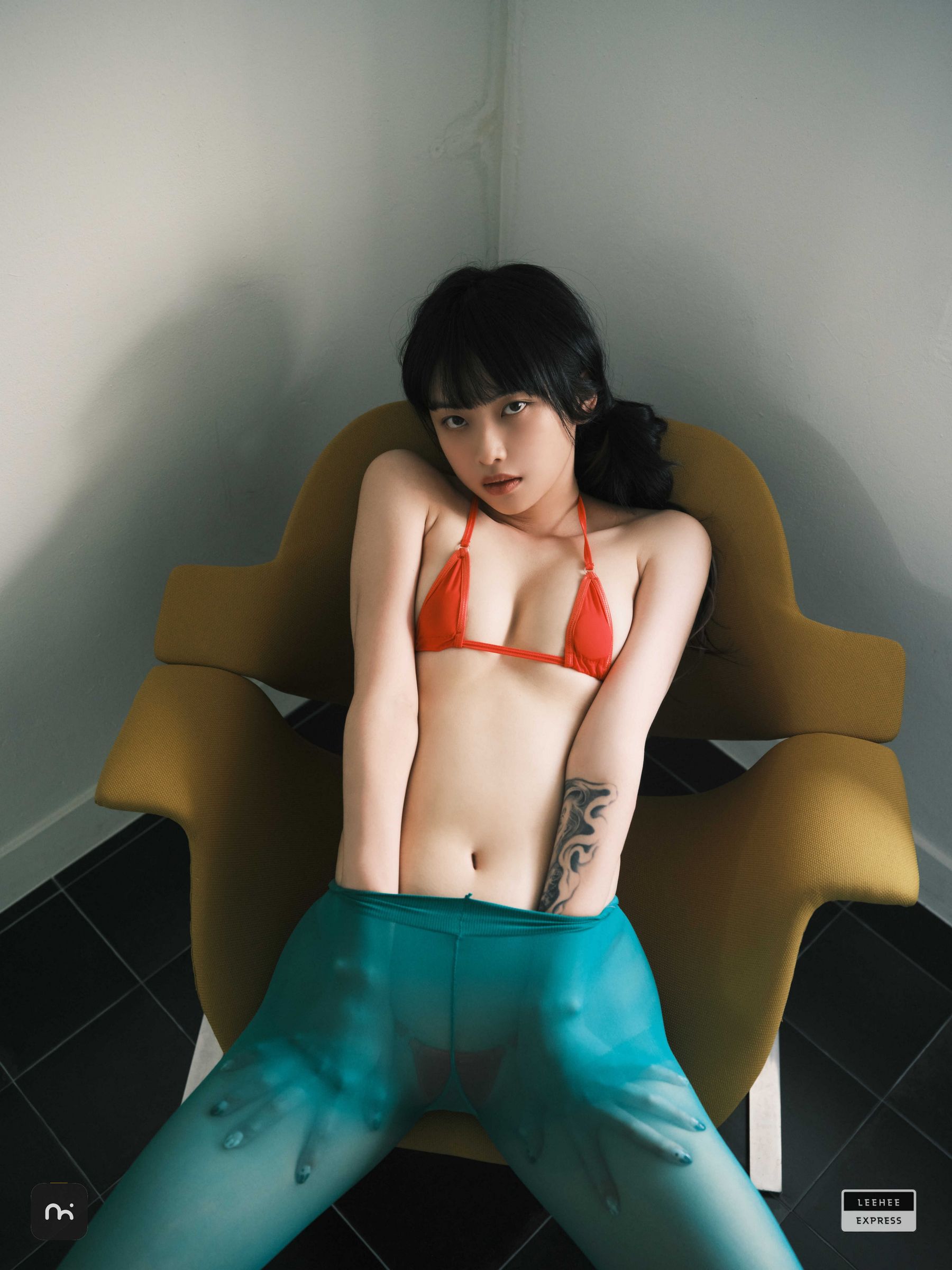 [LEEHEE EXPRESS] LEDG-195C - GMS  第5张