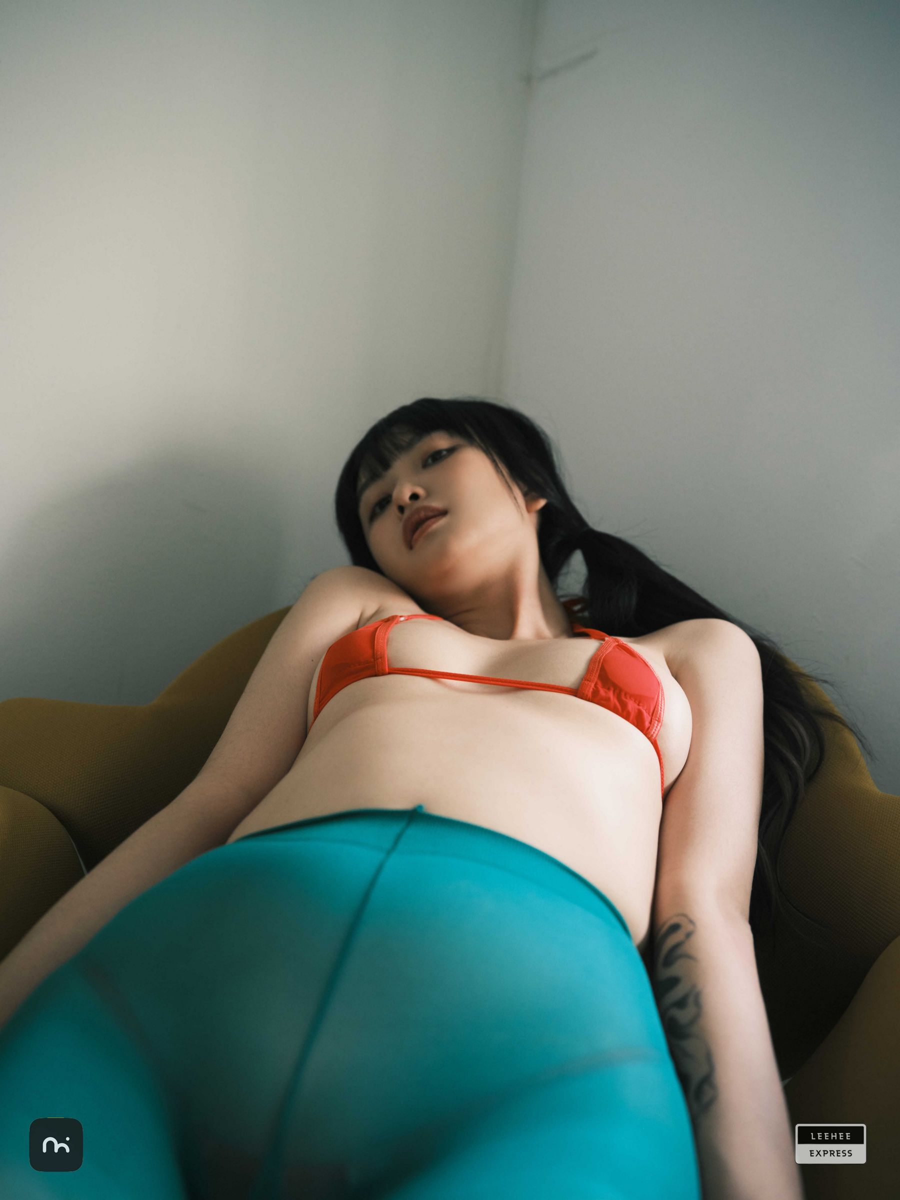 [LEEHEE EXPRESS] LEDG-195C - GMS  第3张