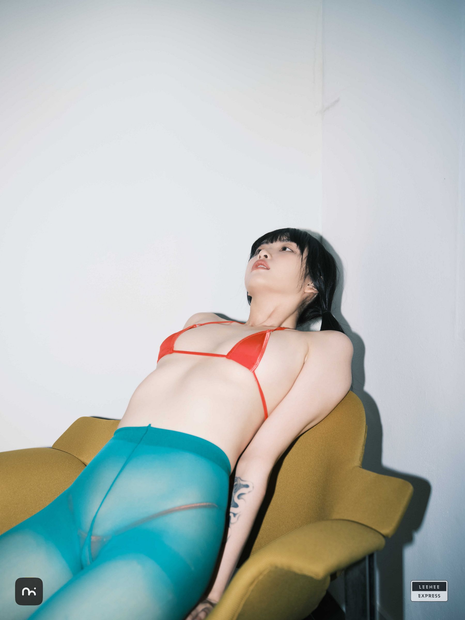 [LEEHEE EXPRESS] LEDG-195C - GMS  第30张