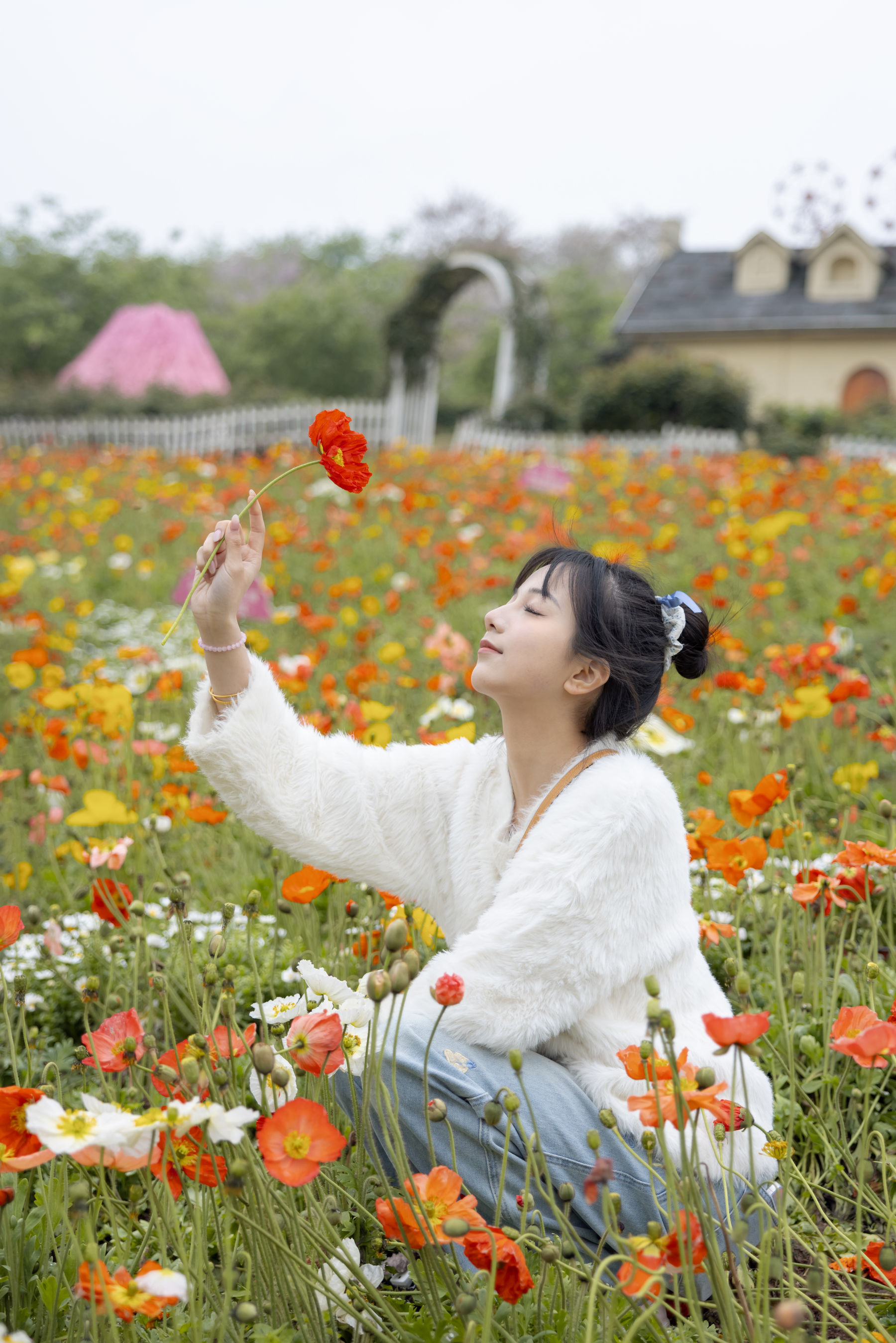 她们印象 No.006 天天