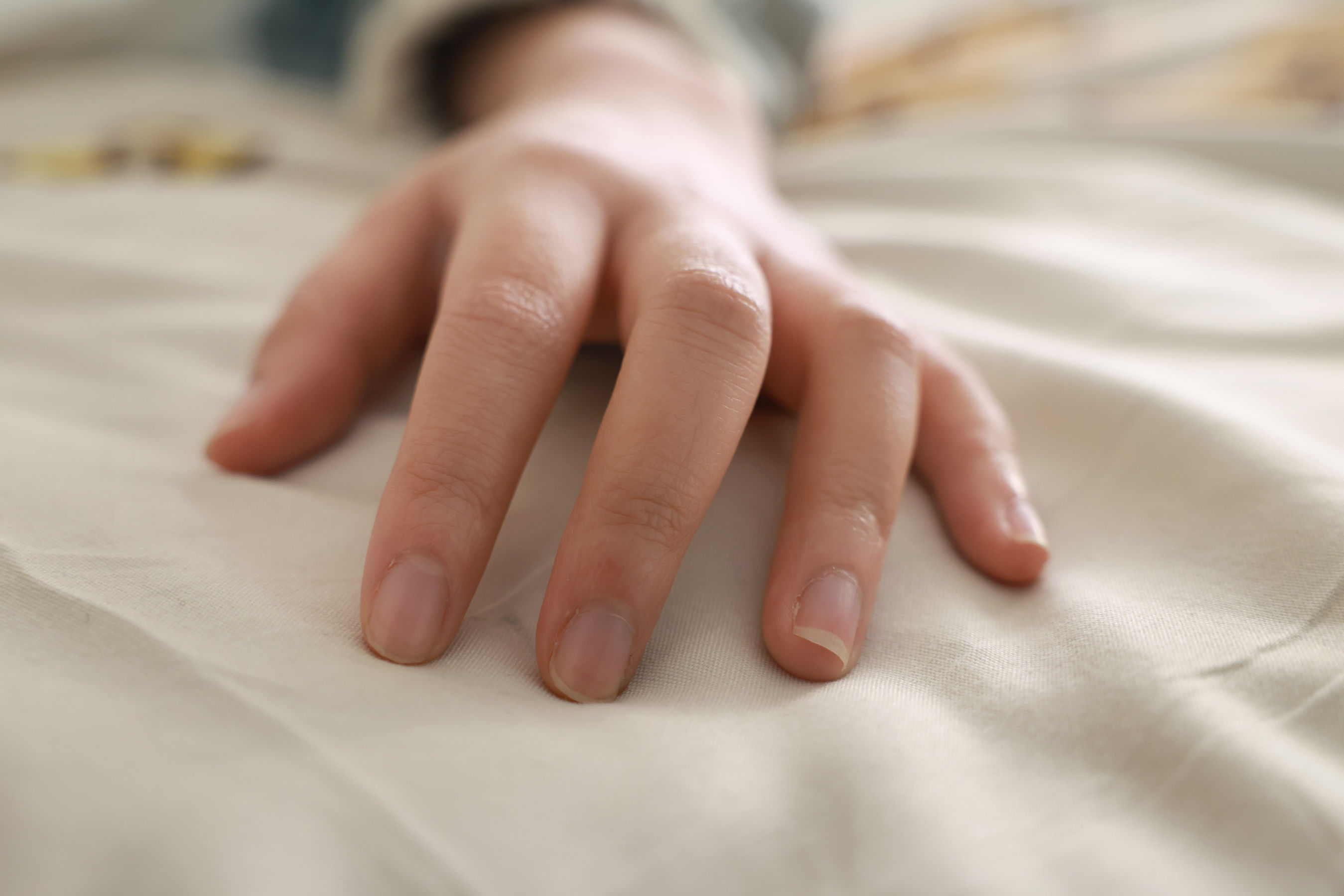 她们印象 No.002 小点心