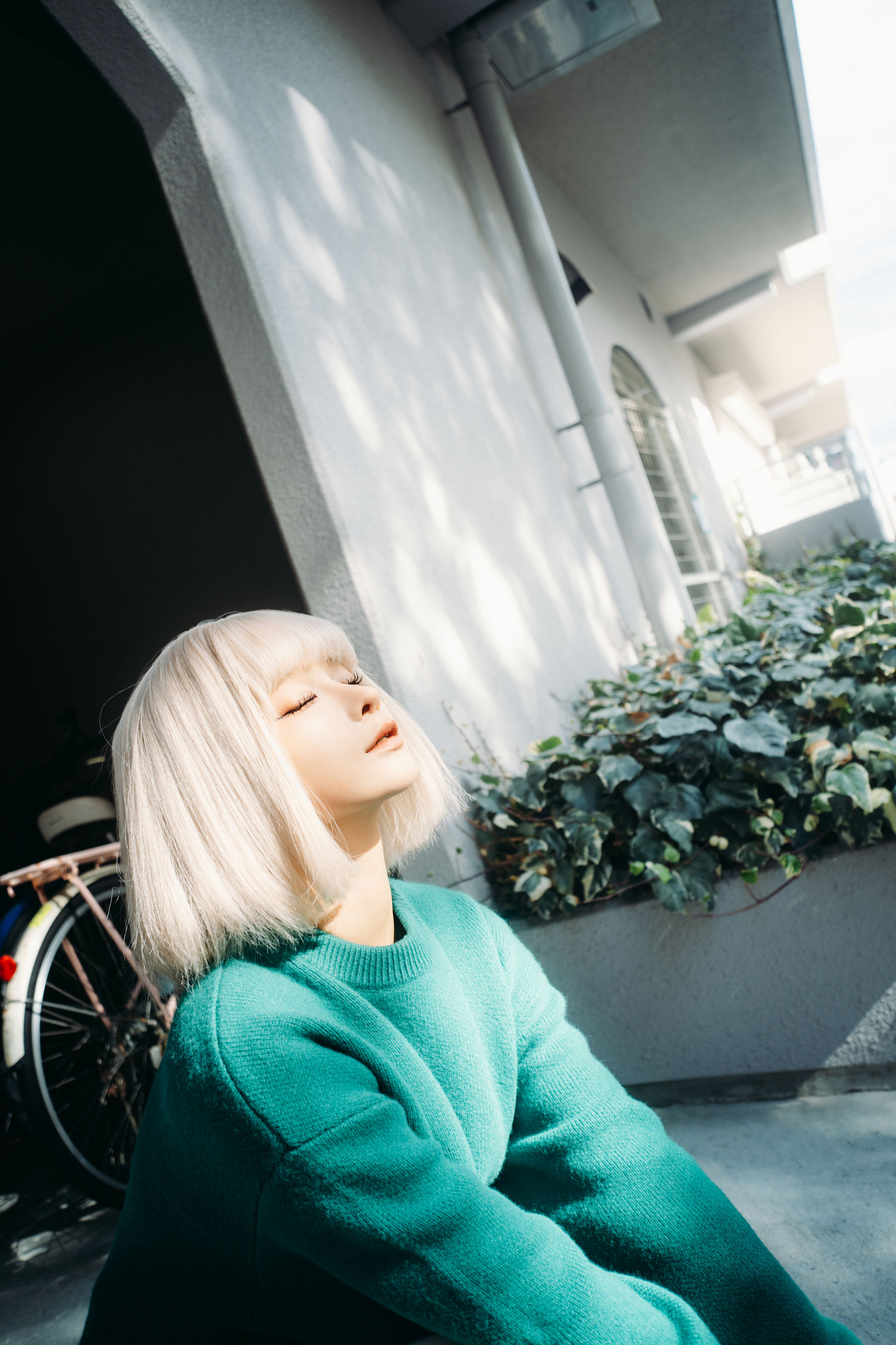 动漫博主蠢沫沫 - 秋寻(上)  第255张 动漫博主蠢沫沫 - 秋寻(上)  第255张