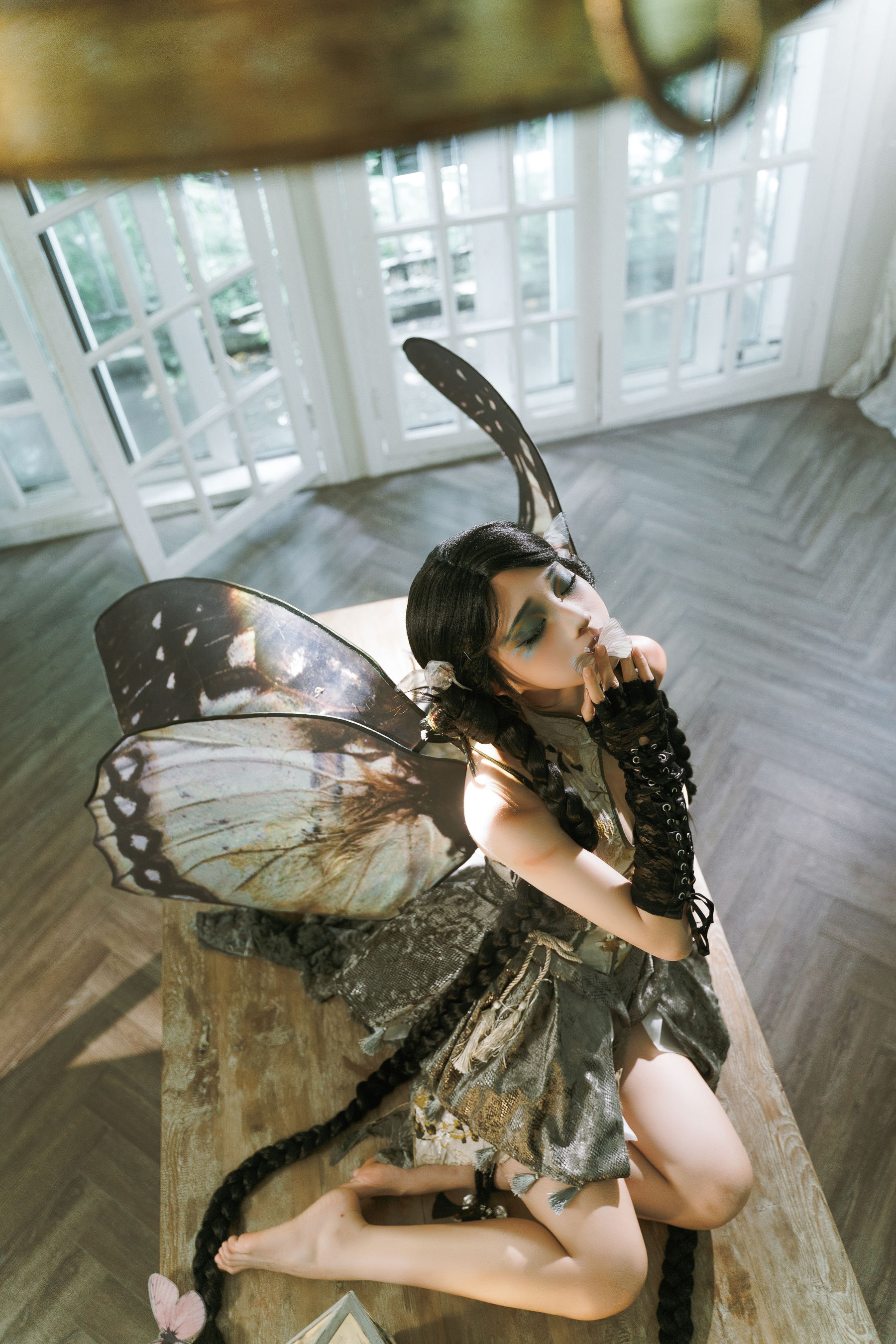 动漫博主蠢沫沫 - 枯叶蝶  第33张