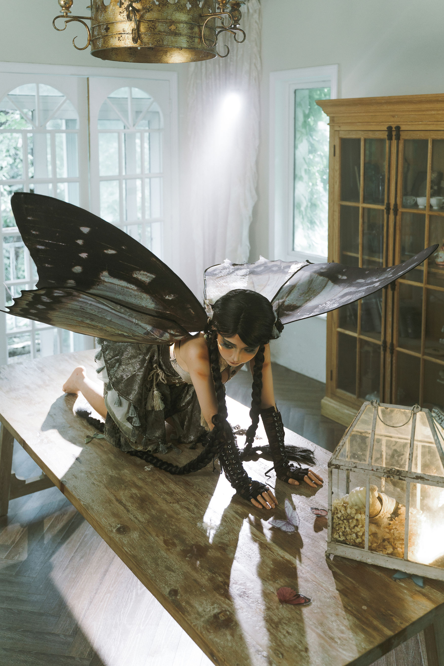 动漫博主蠢沫沫 - 枯叶蝶  第35张