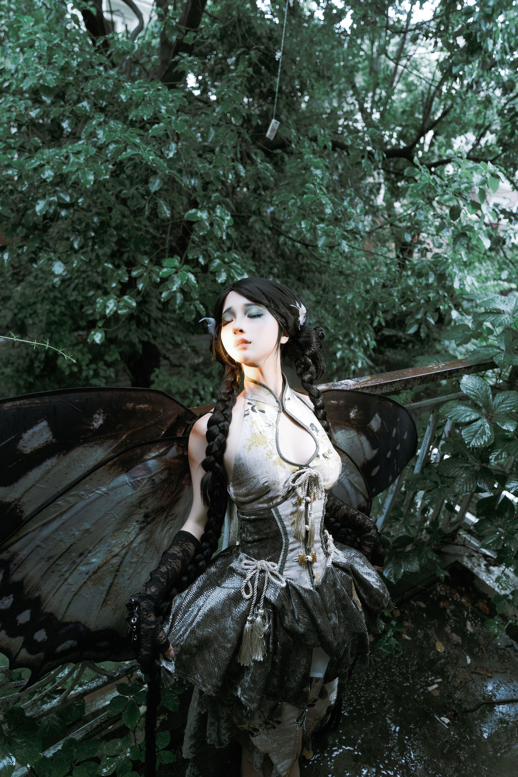 动漫博主蠢沫沫 - 枯叶蝶  第50张