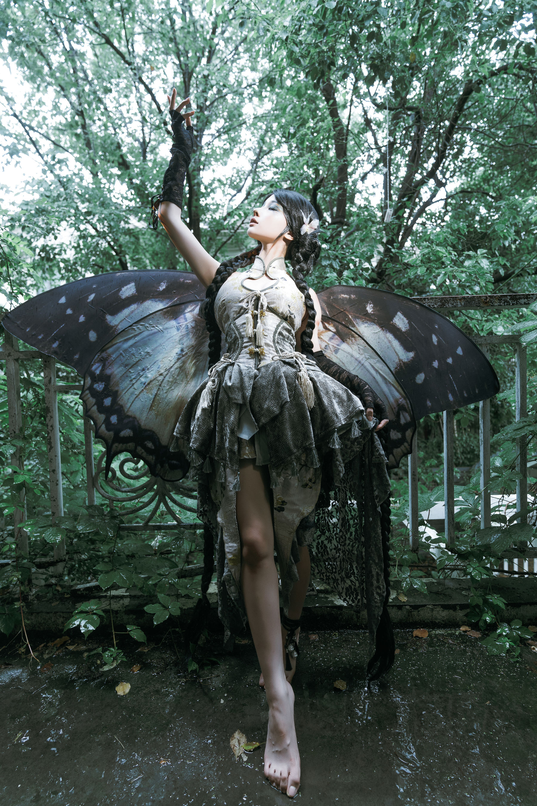 动漫博主蠢沫沫 - 枯叶蝶  第49张