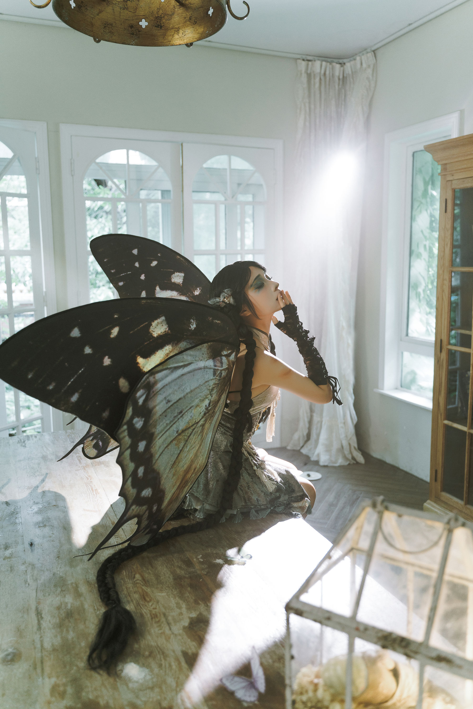 动漫博主蠢沫沫 - 枯叶蝶  第38张