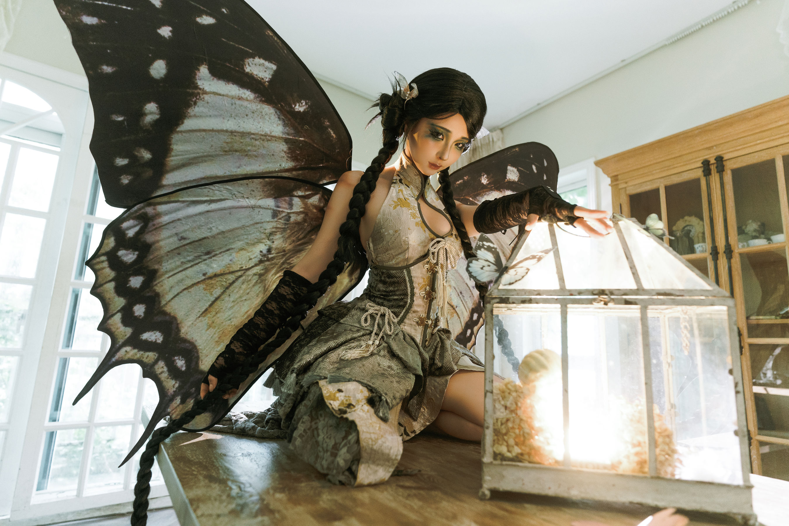 动漫博主蠢沫沫 - 枯叶蝶  第2张