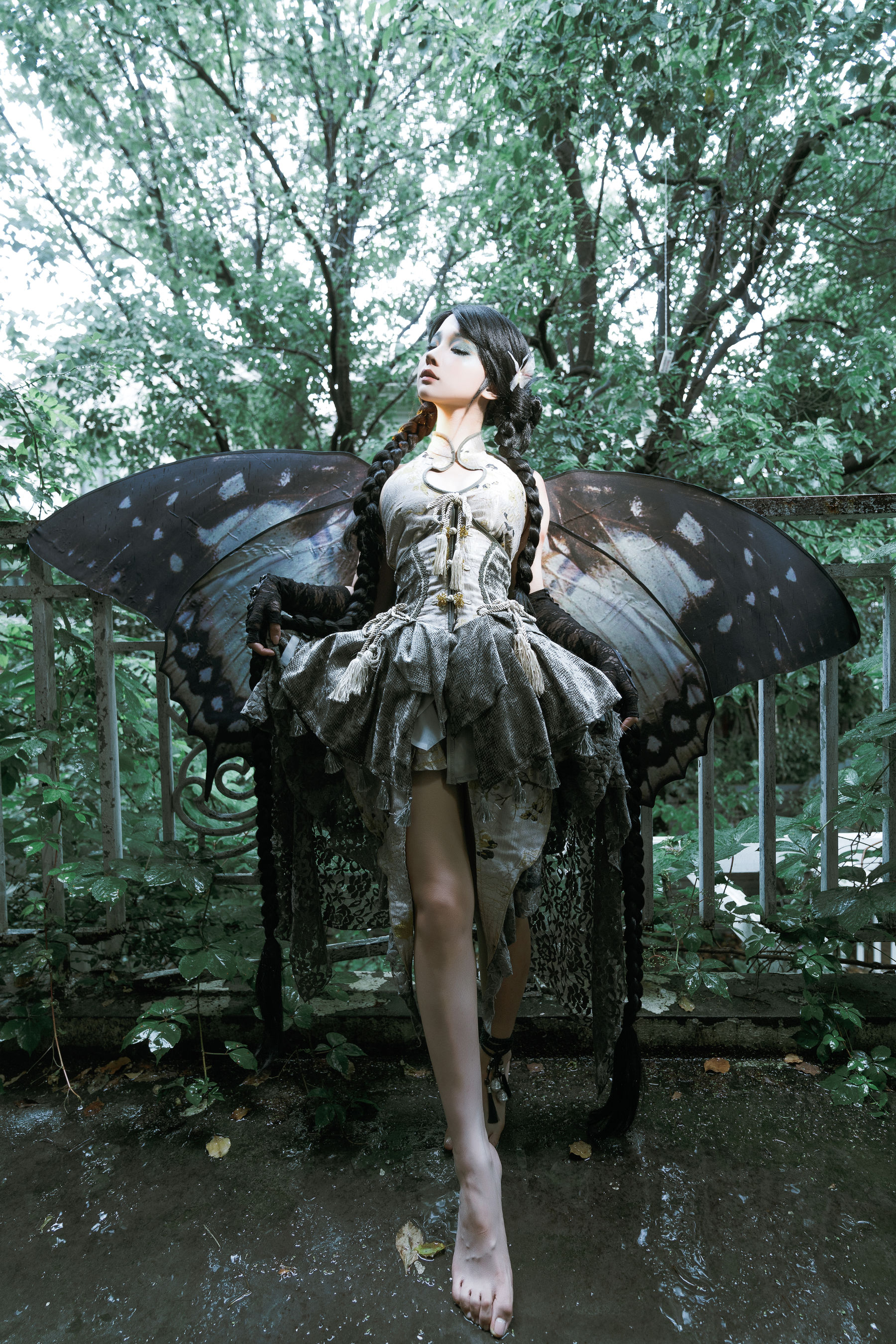 动漫博主蠢沫沫 - 枯叶蝶  第48张