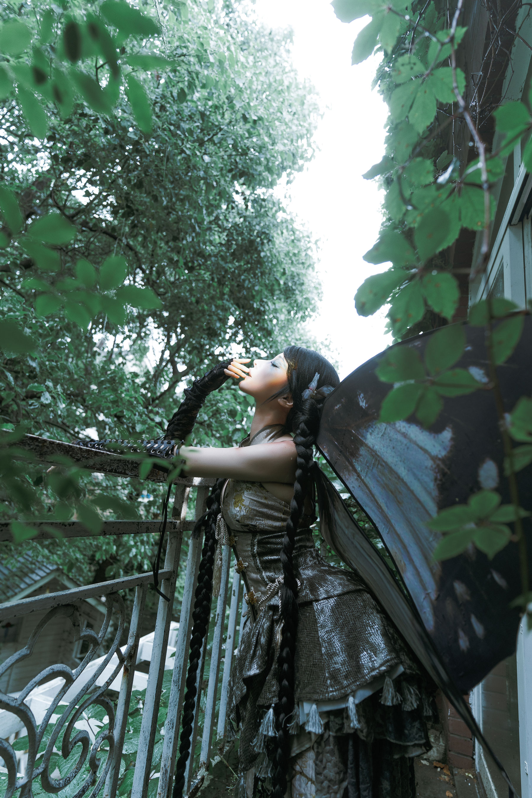 动漫博主蠢沫沫 - 枯叶蝶  第51张