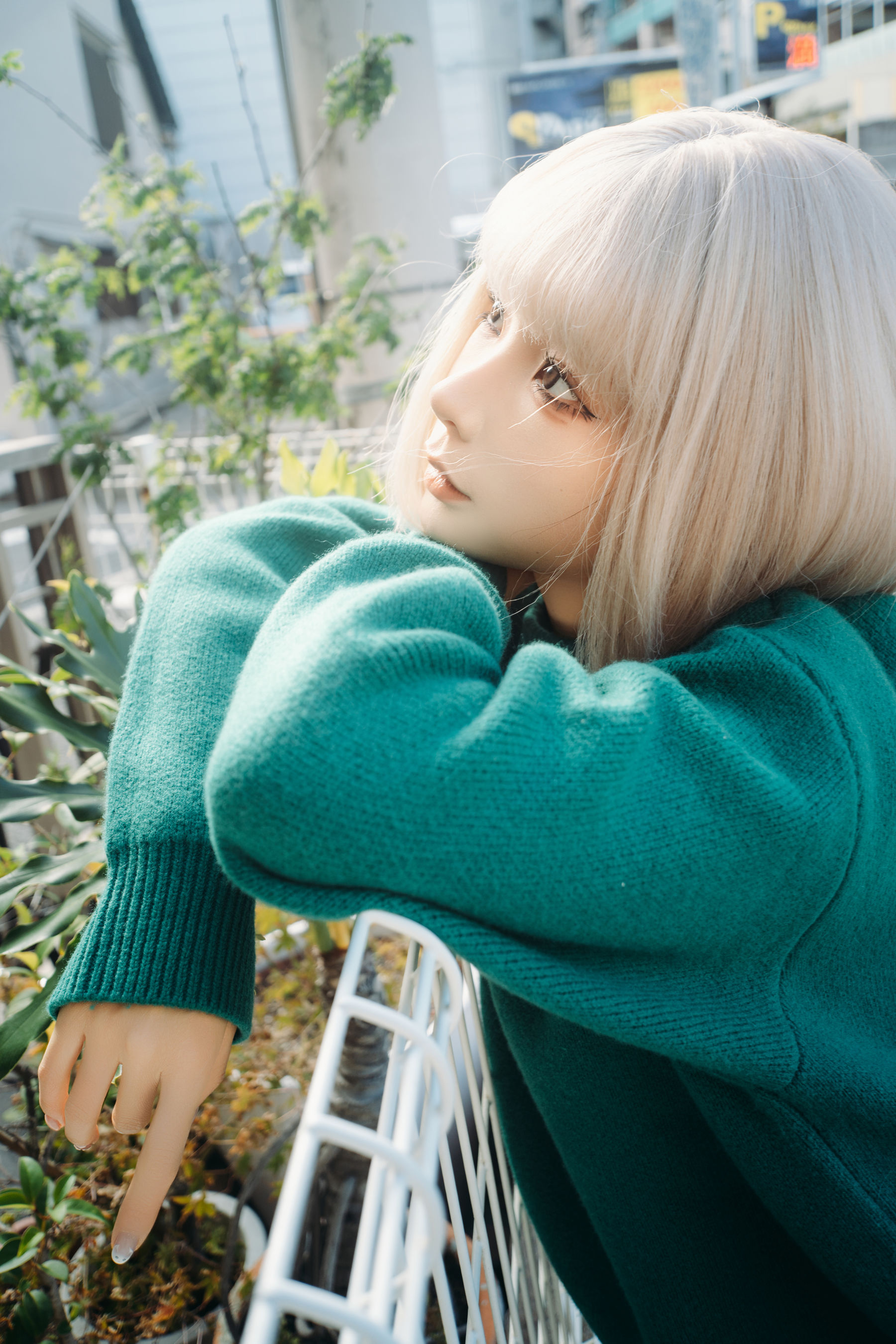 动漫博主蠢沫沫 - 秋寻(上)  第244张 动漫博主蠢沫沫 - 秋寻(上)  第244张