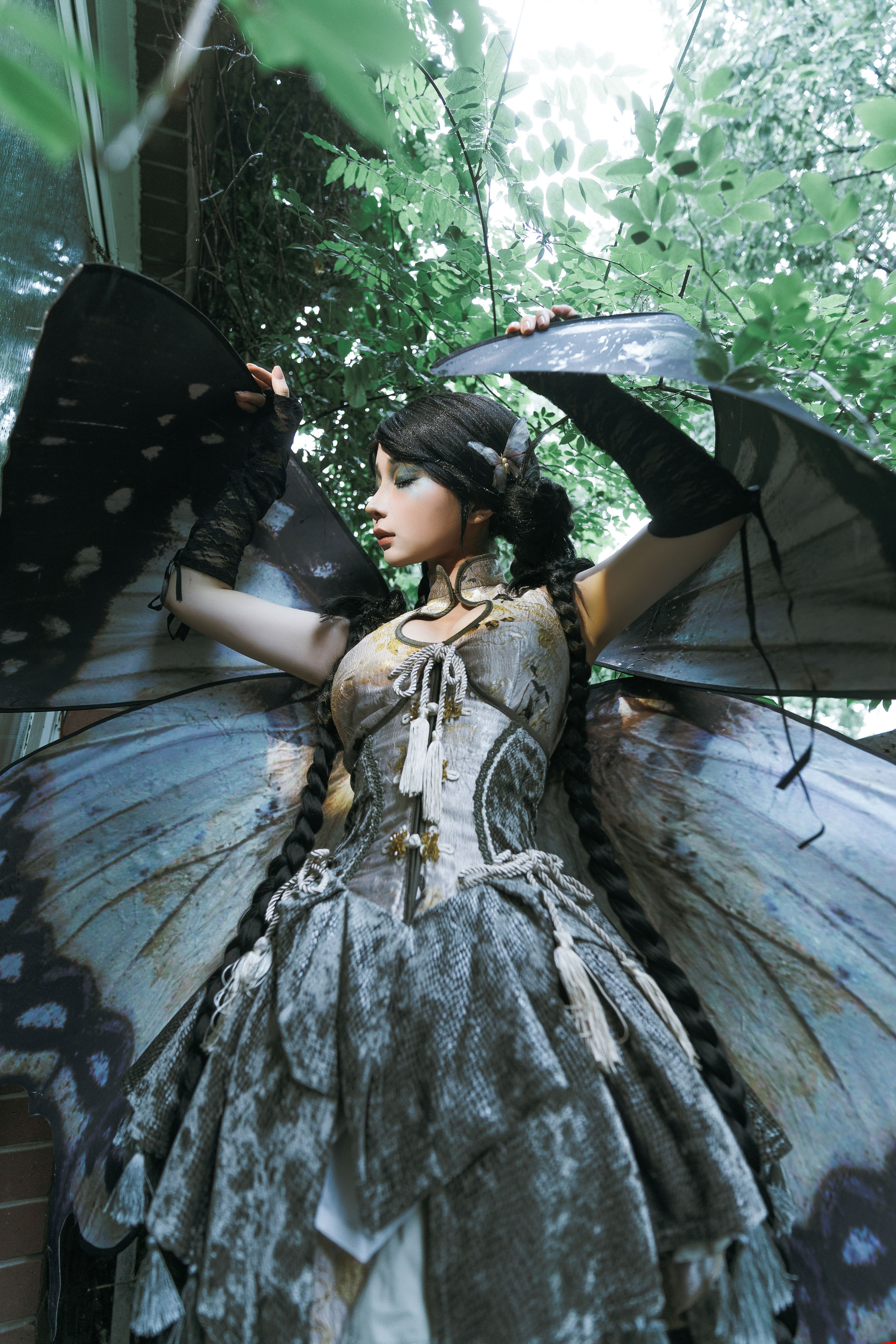 动漫博主蠢沫沫 - 枯叶蝶  第53张