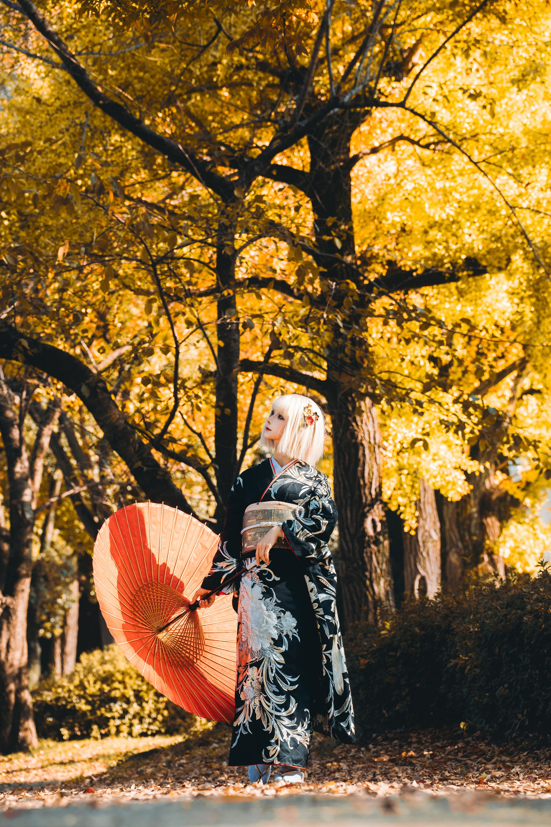 动漫博主蠢沫沫 - 秋寻(下）  第24张