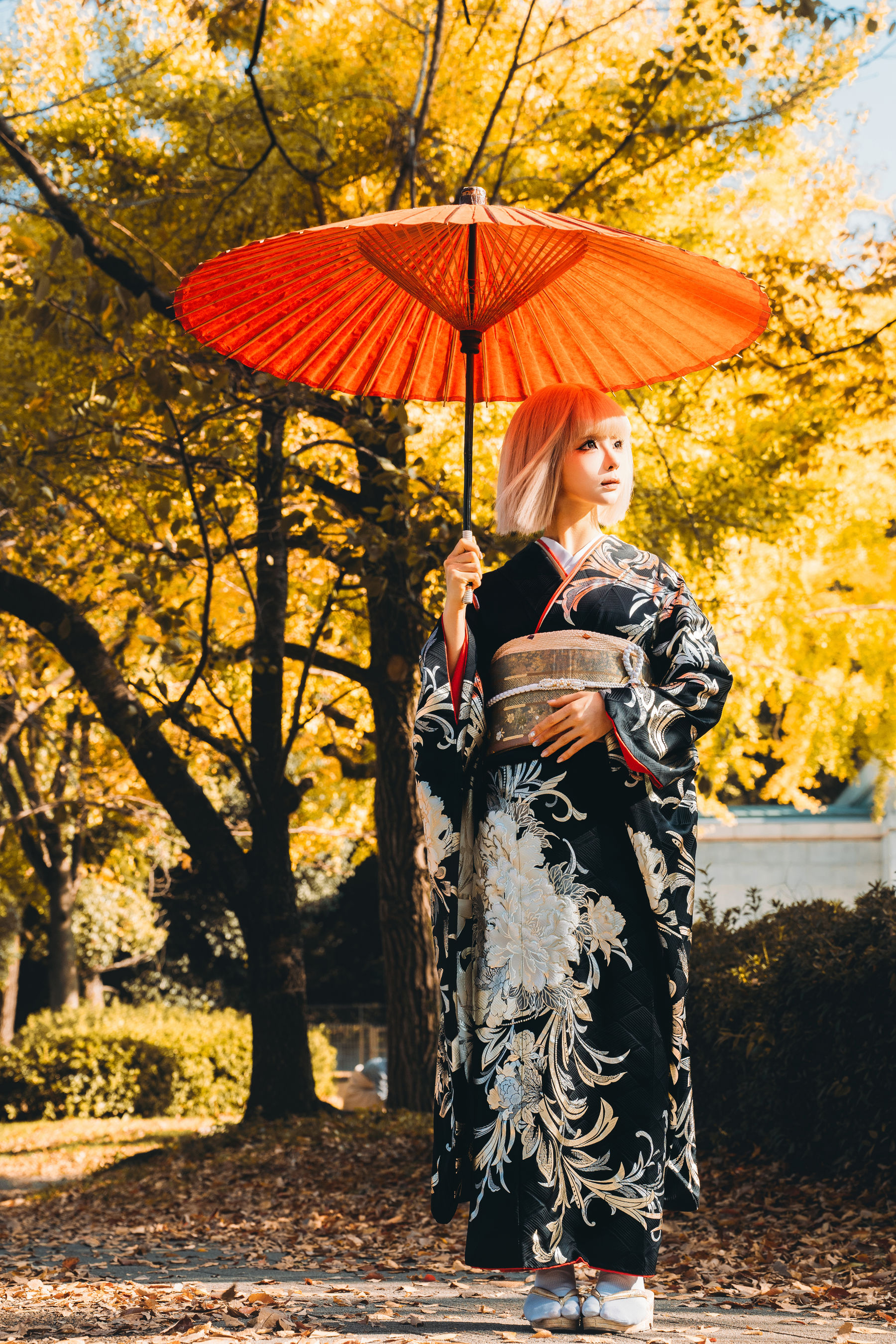 动漫博主蠢沫沫 - 秋寻(下）  第26张