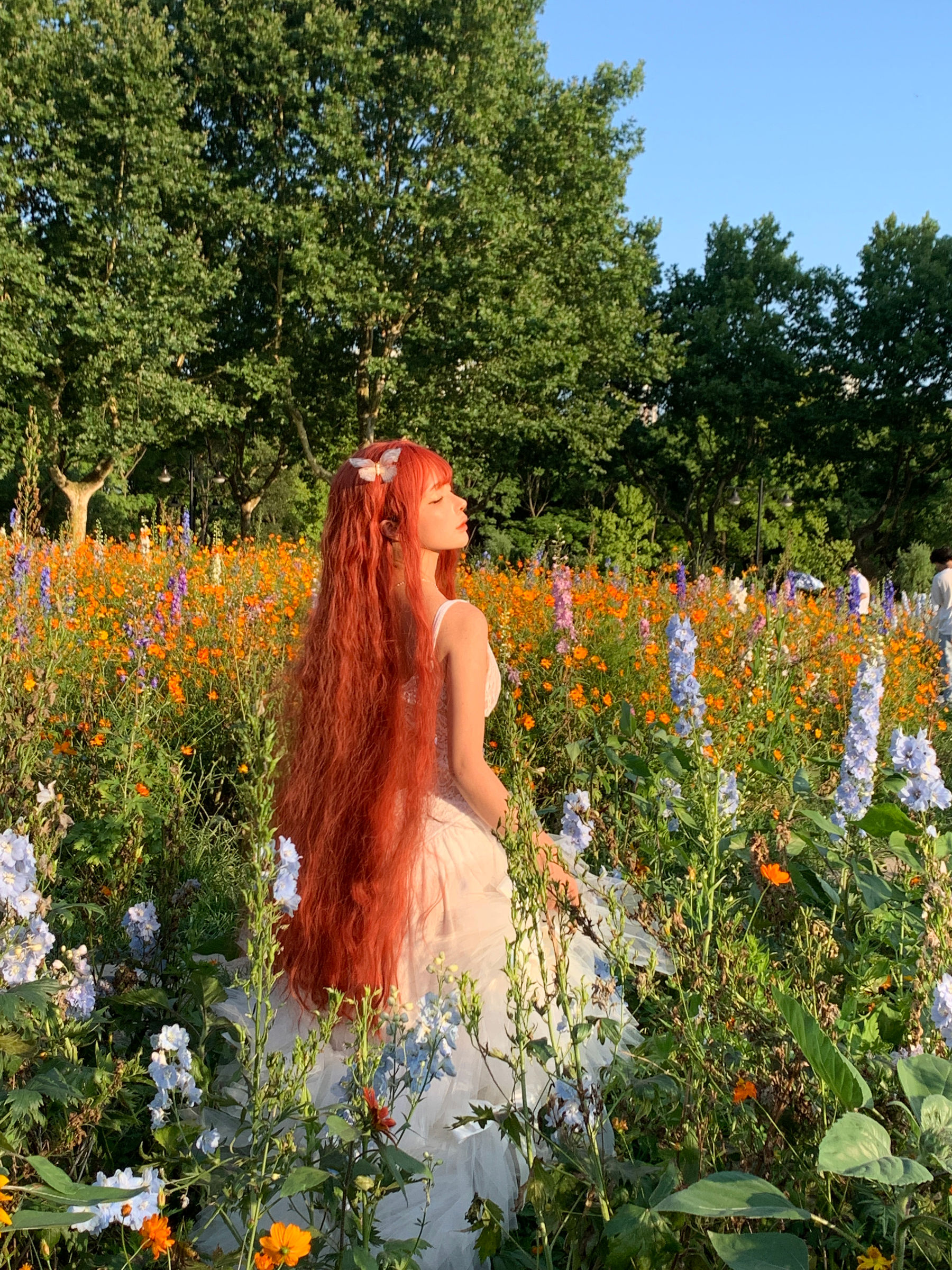 动漫博主 蠢沫沫 - 花丛婚纱  第66张