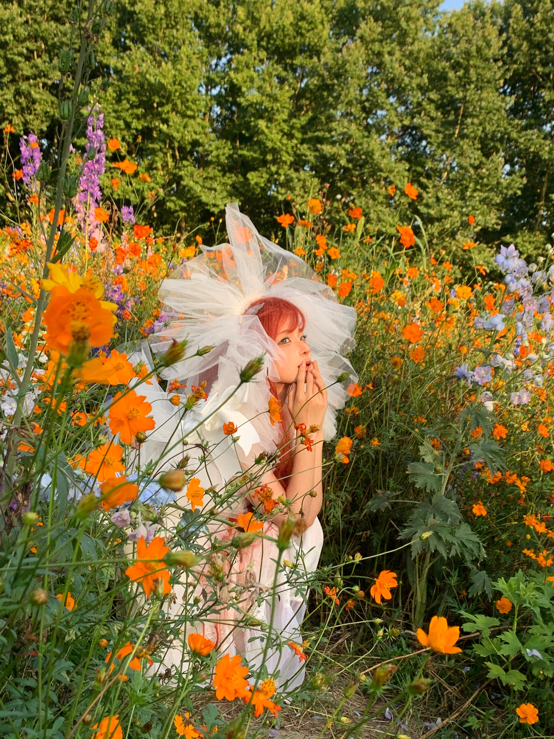 动漫博主 蠢沫沫 - 花丛婚纱  第63张