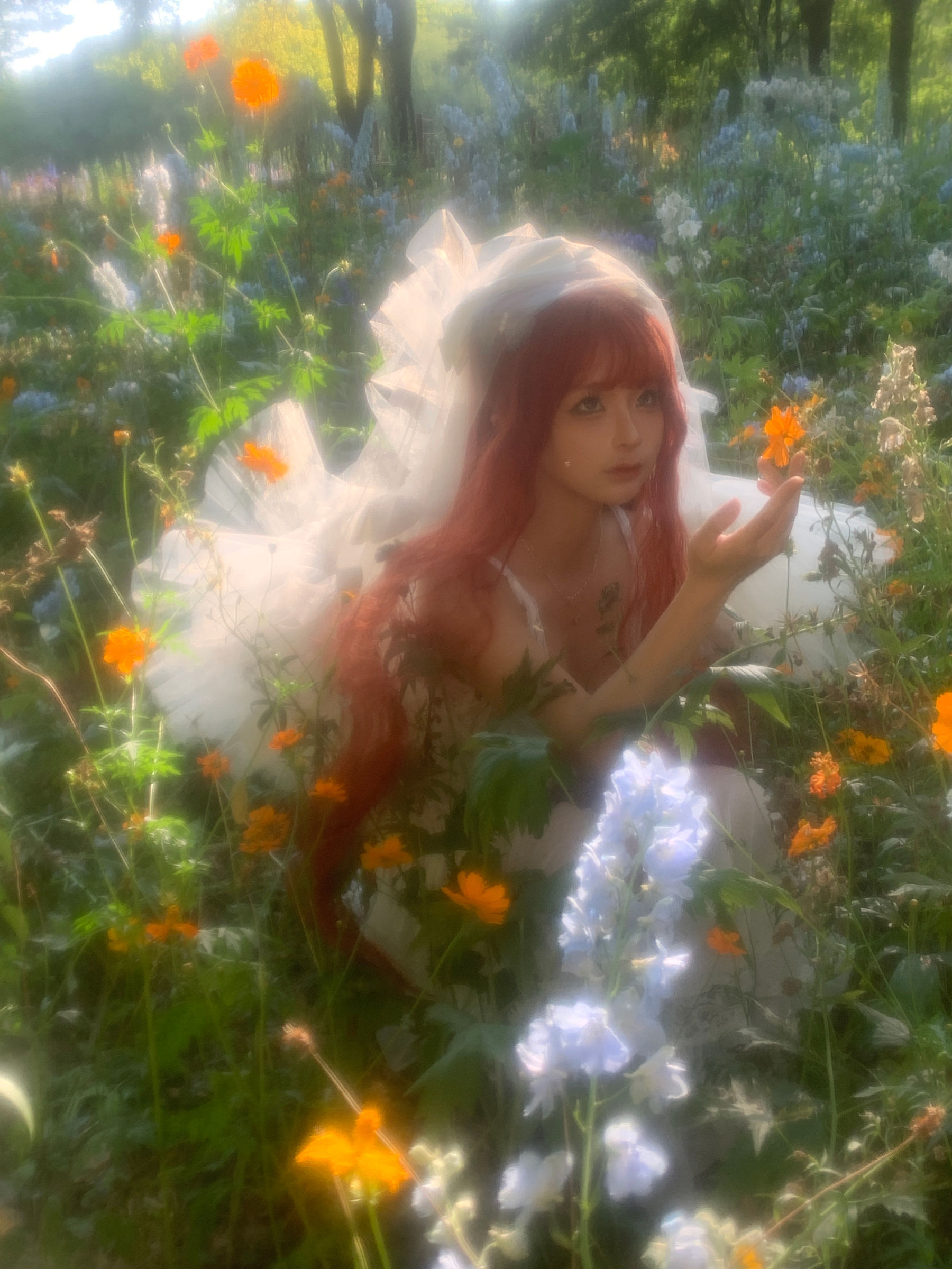 动漫博主 蠢沫沫 - 花丛婚纱  第70张