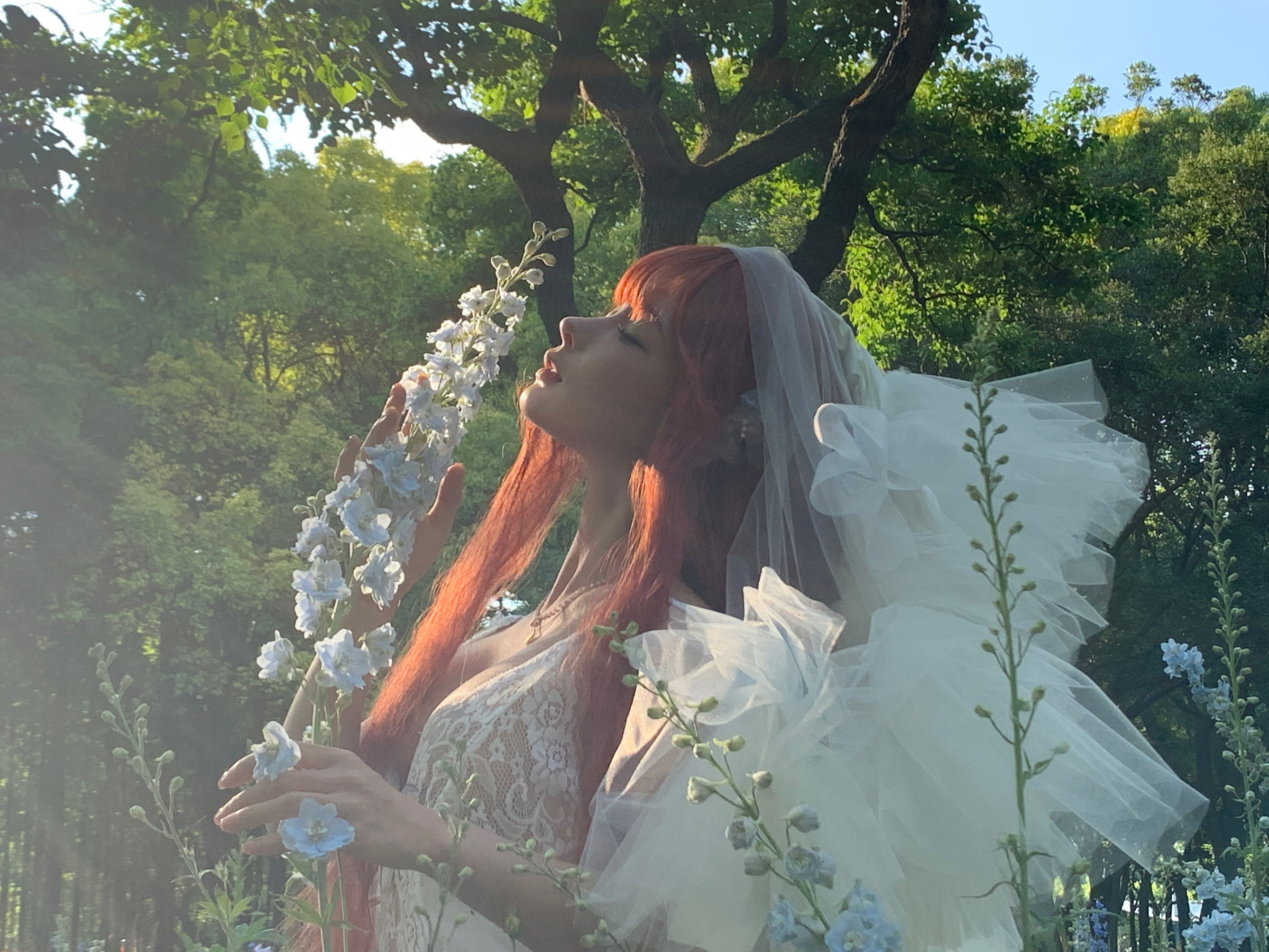 动漫博主 蠢沫沫 - 花丛婚纱  第52张