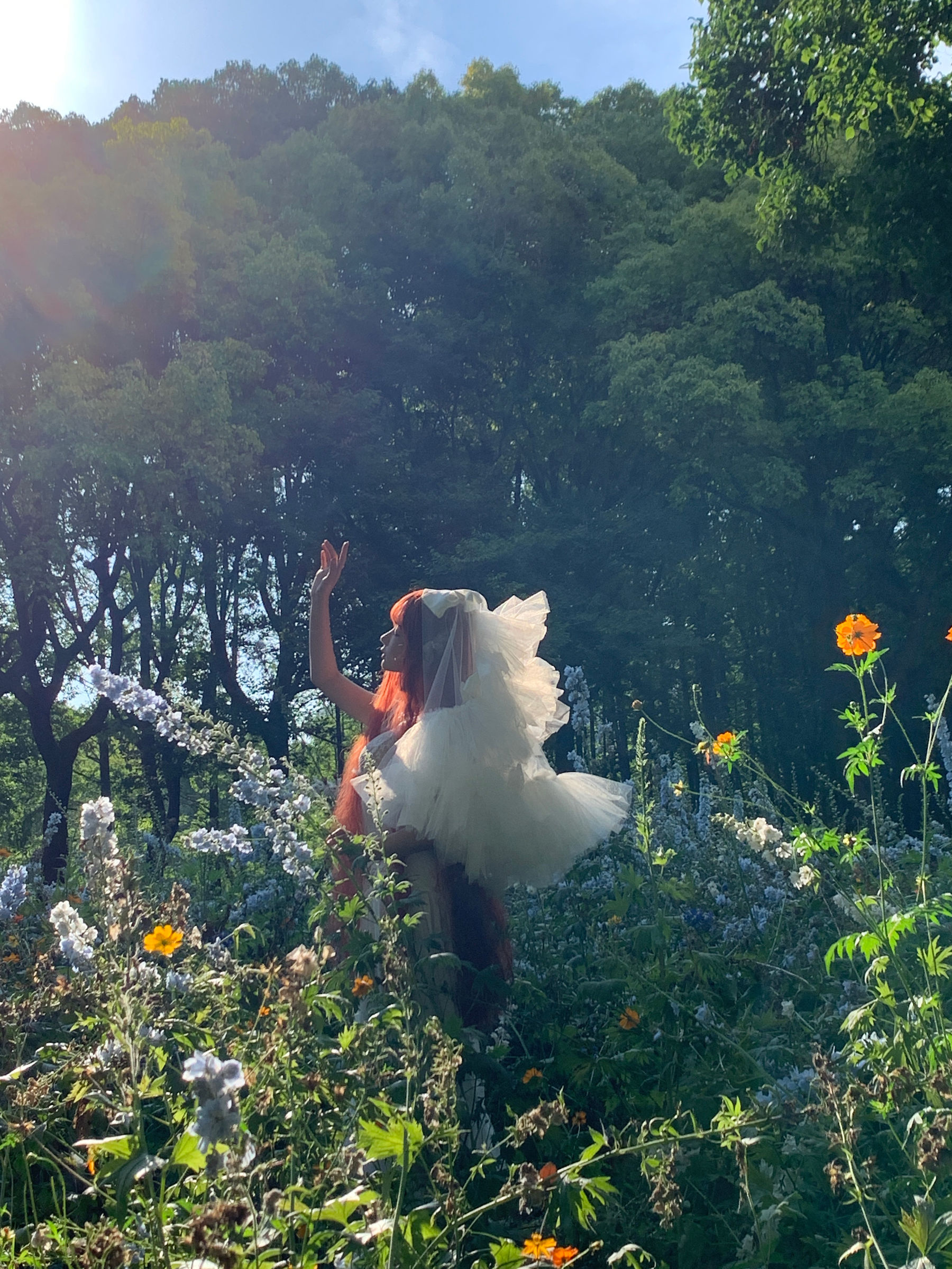 动漫博主 蠢沫沫 - 花丛婚纱  第54张