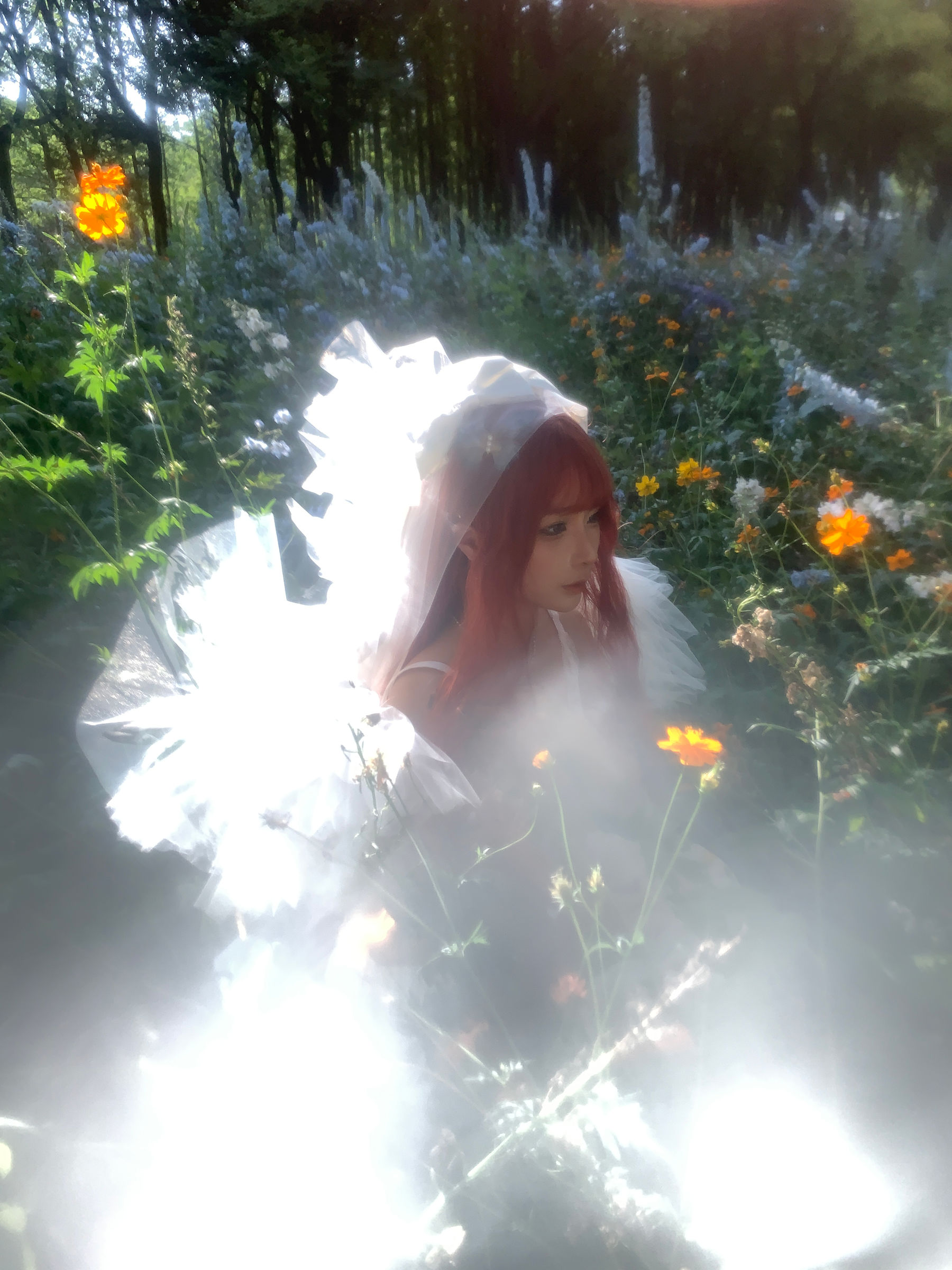 动漫博主 蠢沫沫 - 花丛婚纱  第69张