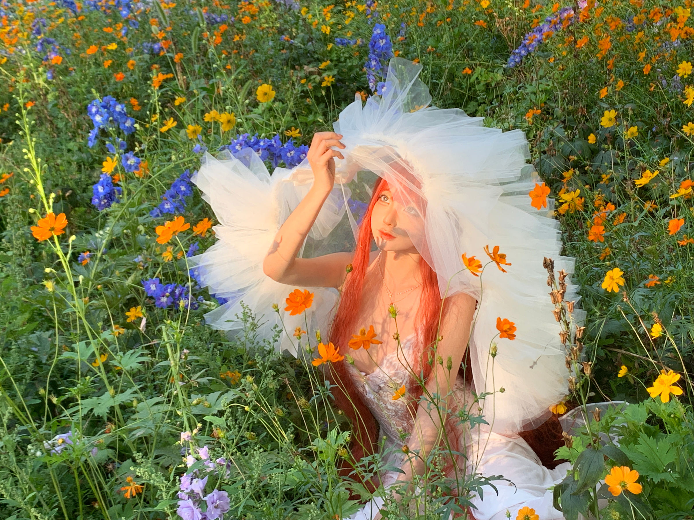 动漫博主 蠢沫沫 - 花丛婚纱  第53张