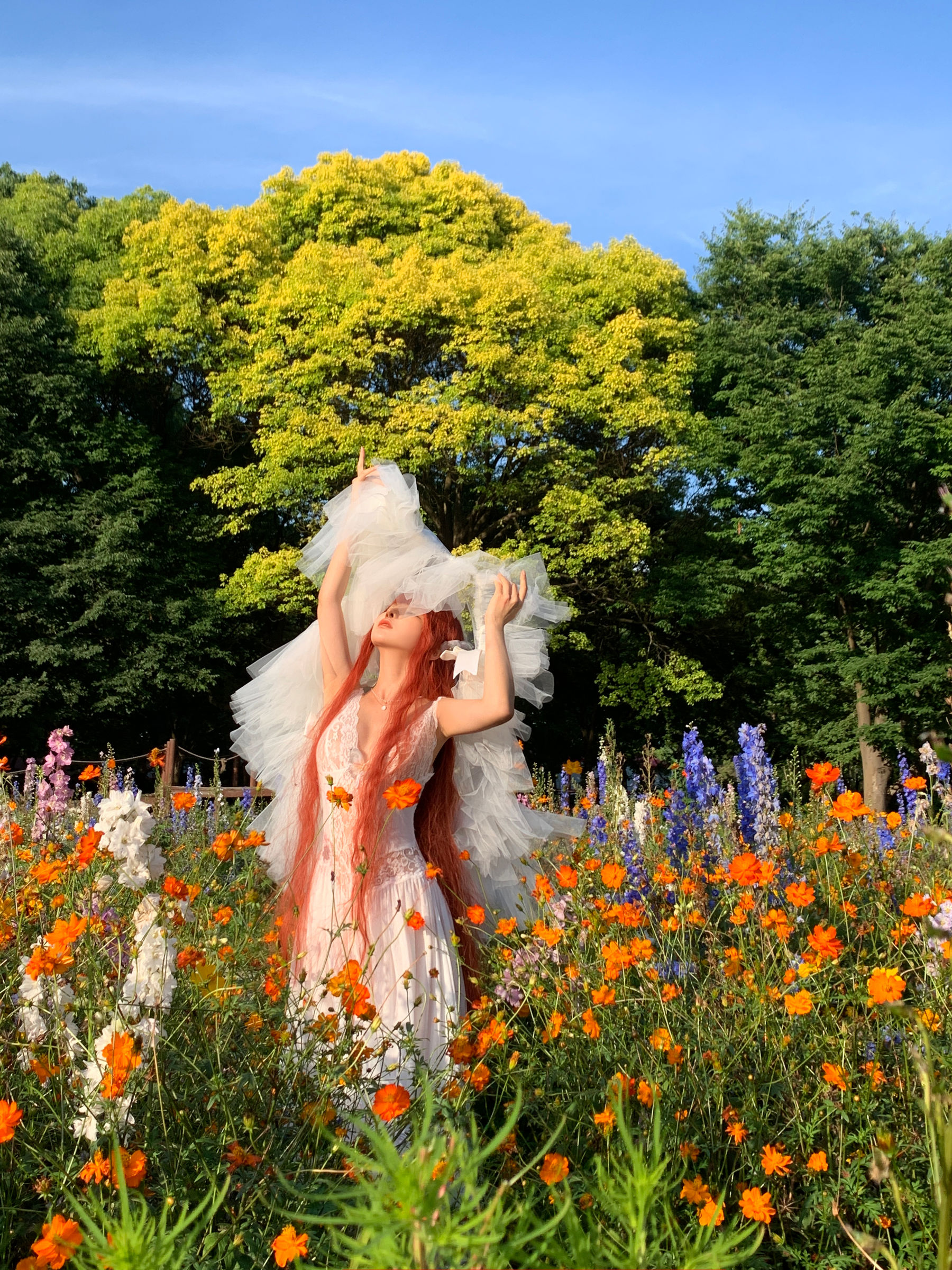 动漫博主 蠢沫沫 - 花丛婚纱  第62张