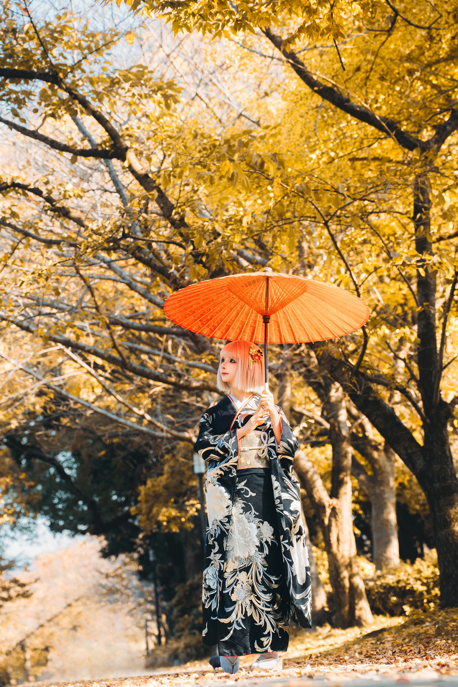 动漫博主蠢沫沫 - 秋寻(下）  第23张