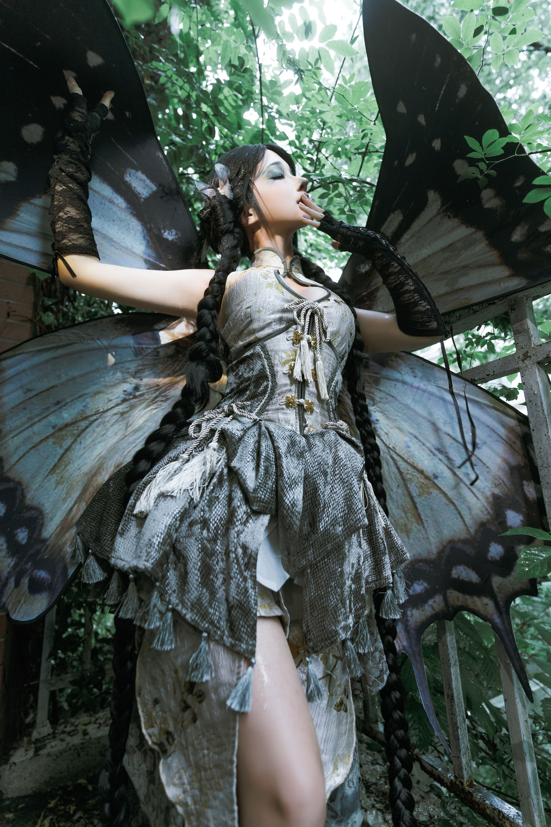 动漫博主蠢沫沫 - 枯叶蝶  第54张