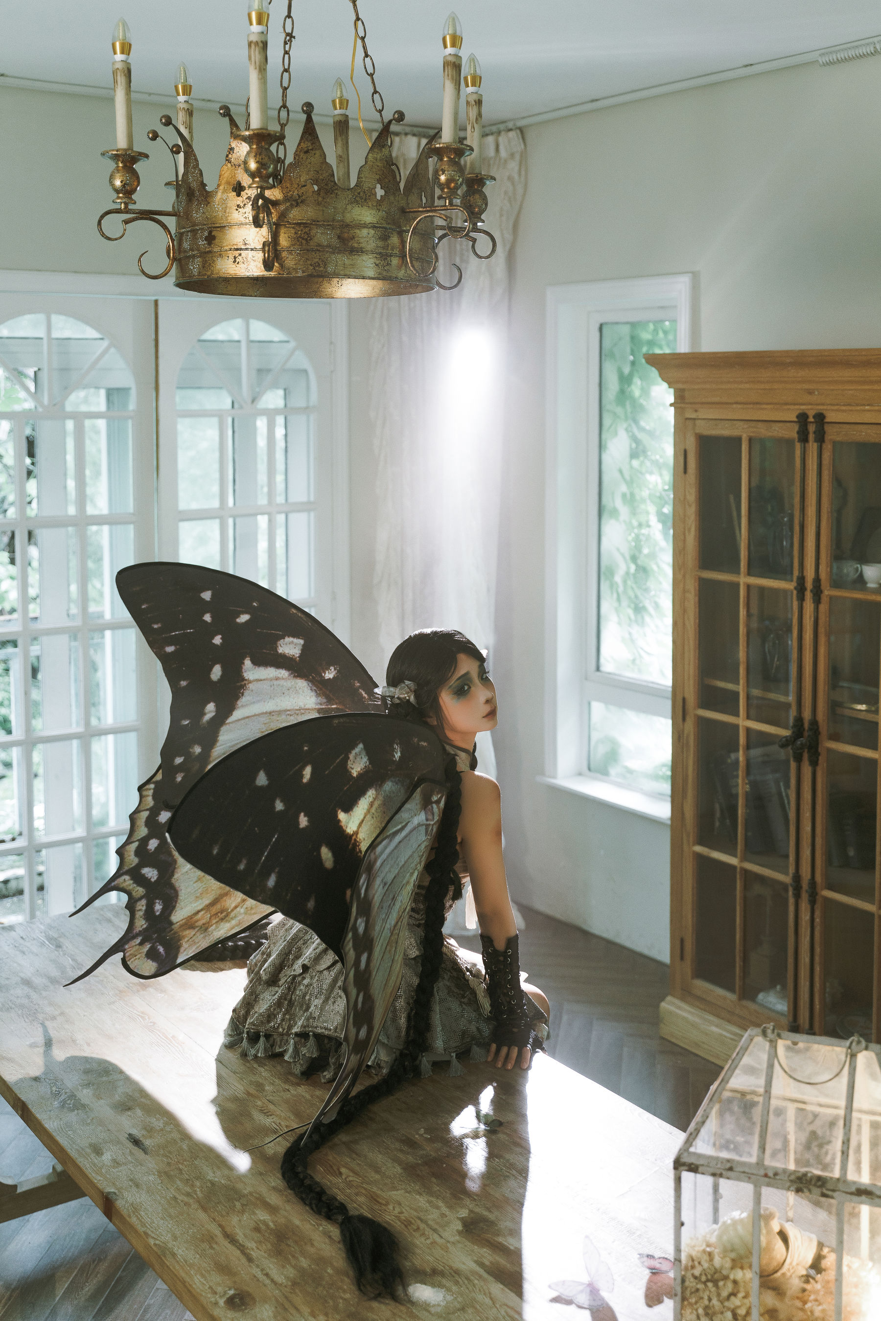 动漫博主蠢沫沫 - 枯叶蝶  第36张