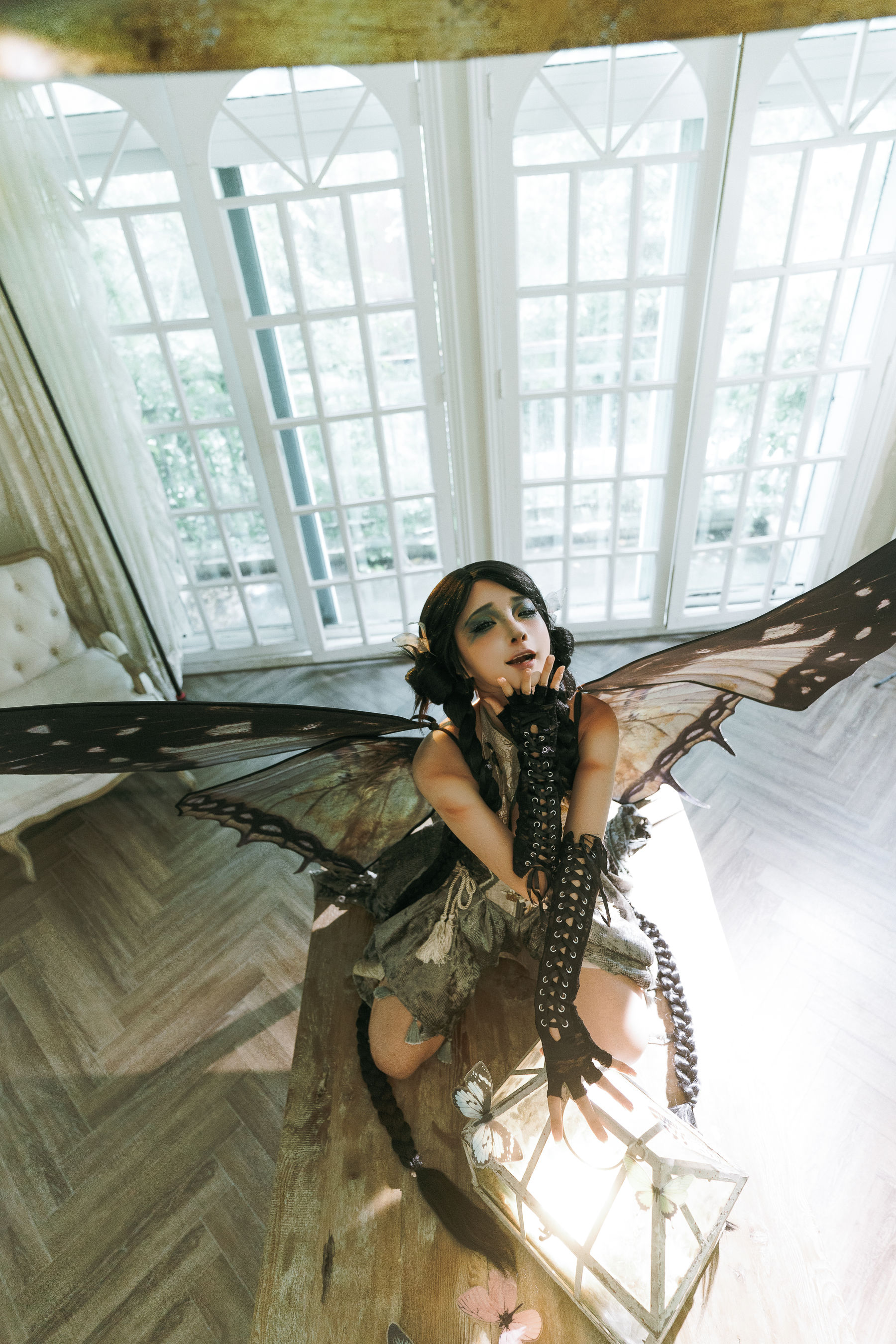 动漫博主蠢沫沫 - 枯叶蝶  第4张