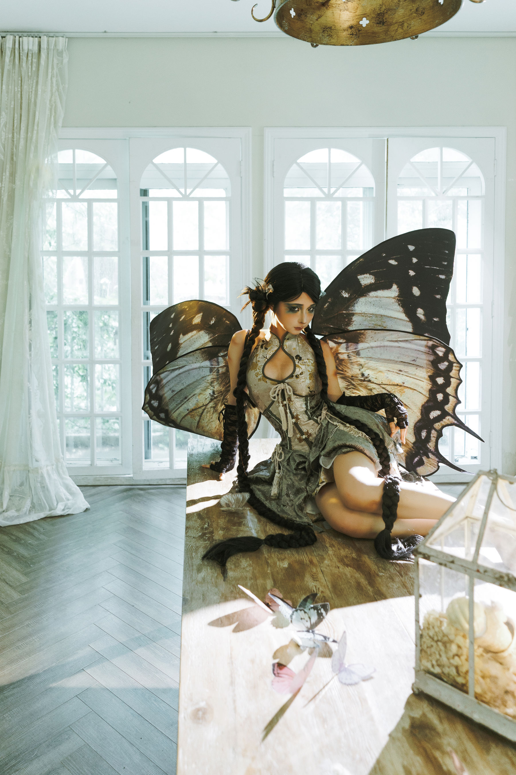 动漫博主蠢沫沫 - 枯叶蝶  第21张