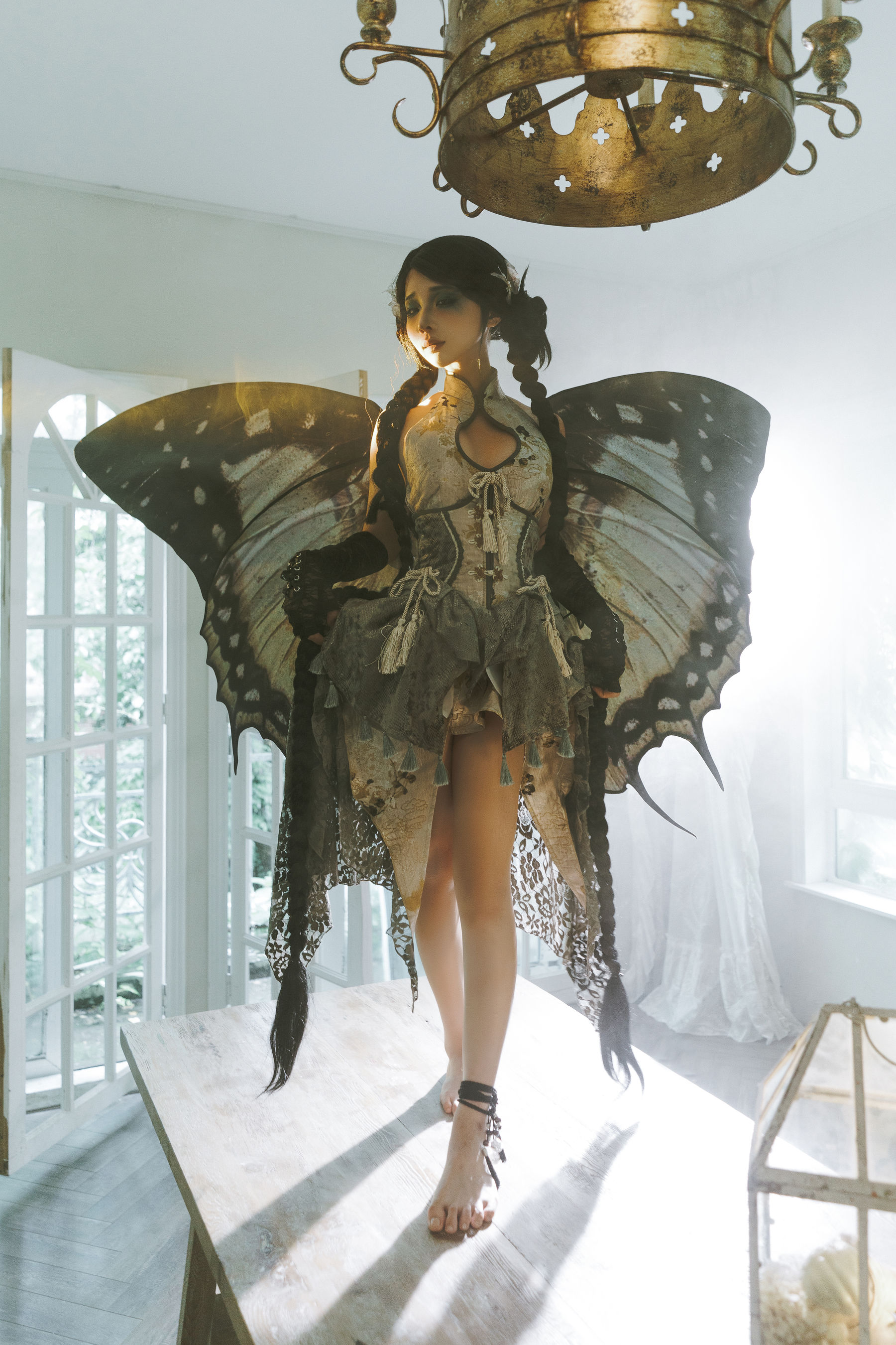 动漫博主蠢沫沫 - 枯叶蝶  第24张