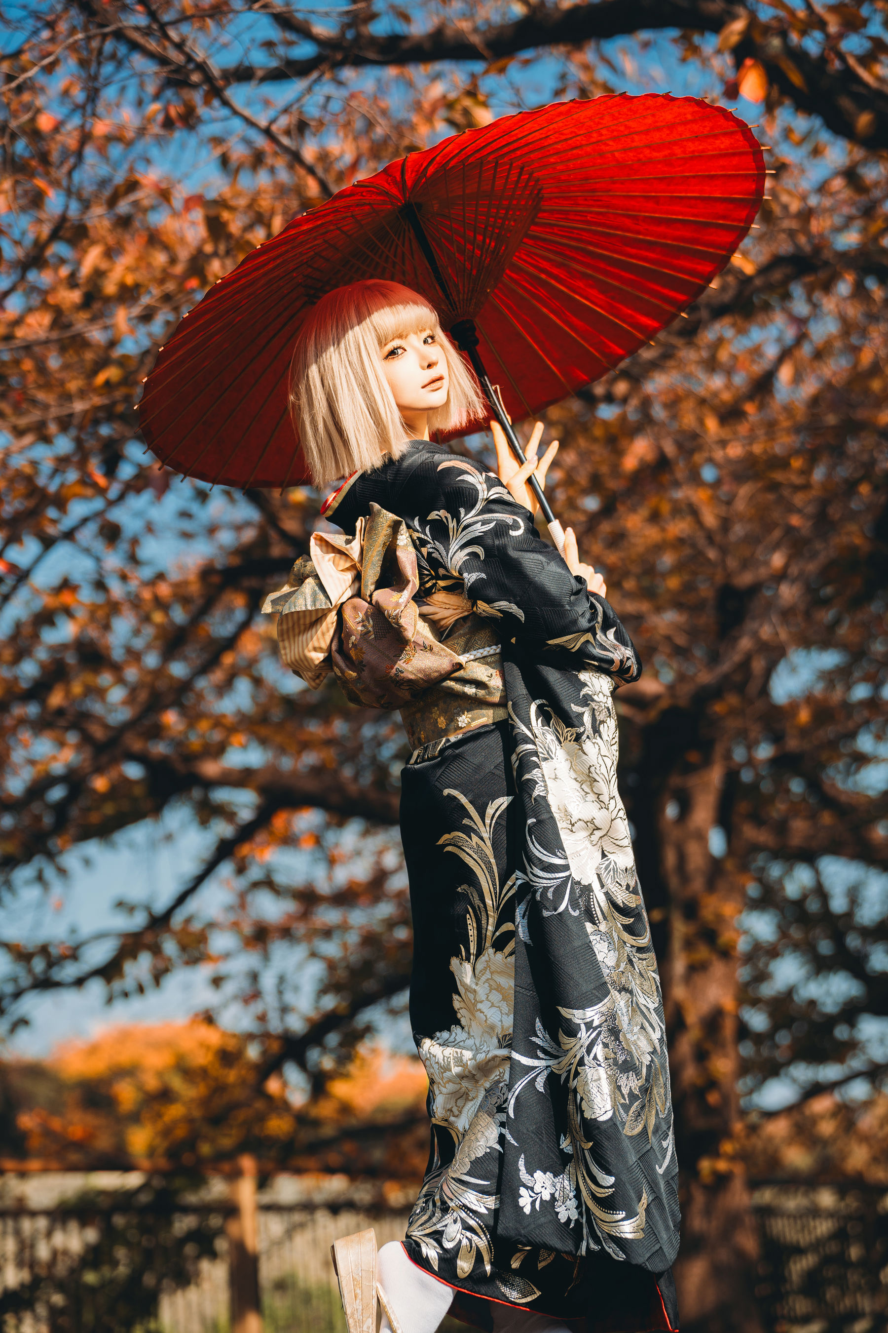 动漫博主蠢沫沫 - 秋寻(下）  第29张