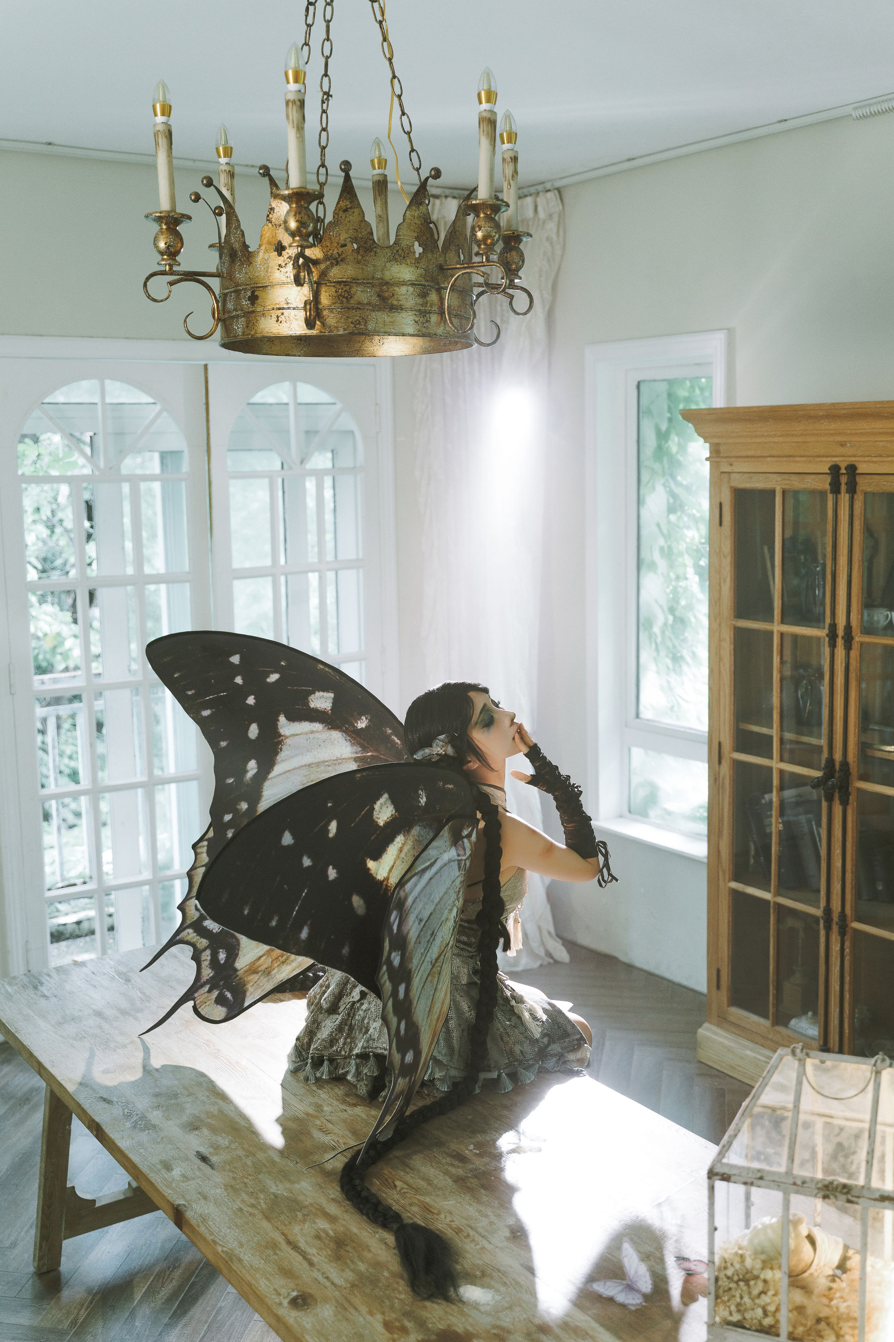 动漫博主蠢沫沫 - 枯叶蝶  第37张