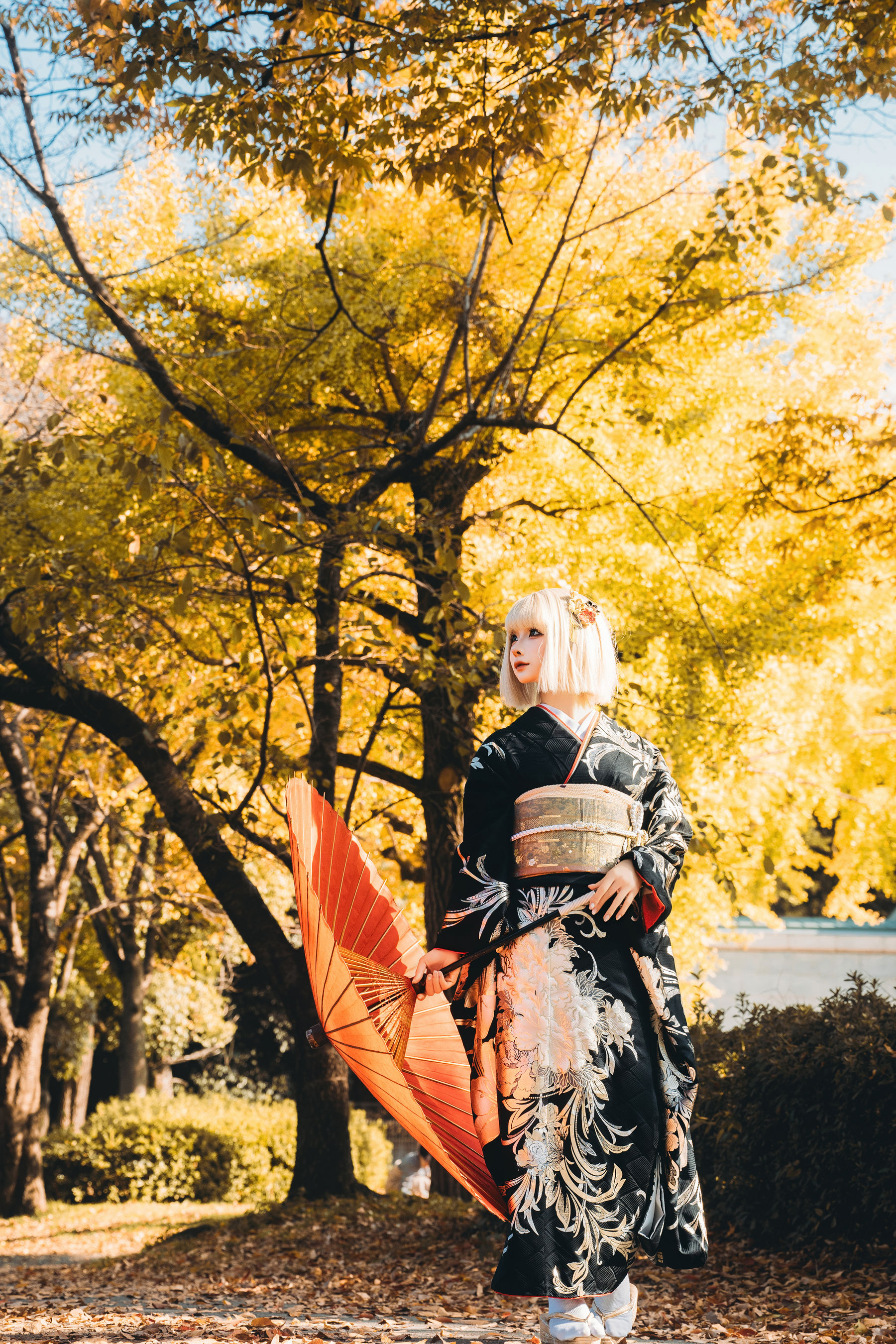 动漫博主蠢沫沫 - 秋寻(下）  第231张