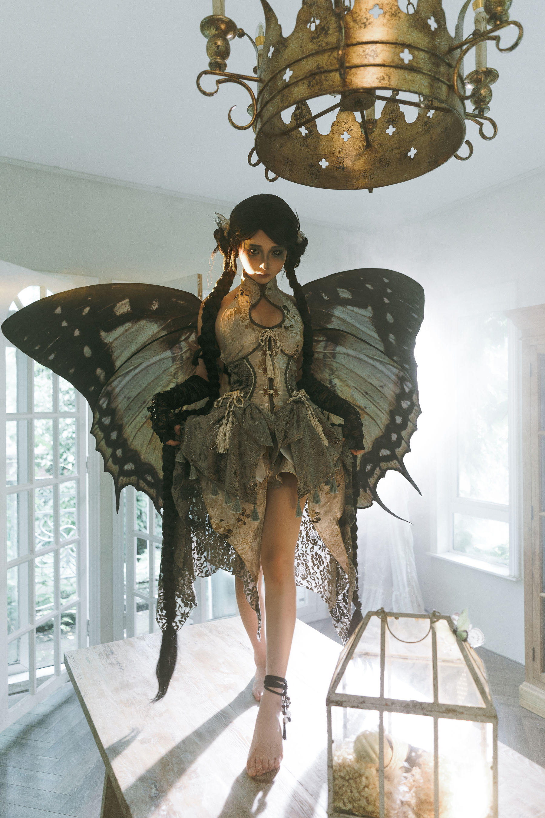 动漫博主蠢沫沫 - 枯叶蝶  第25张