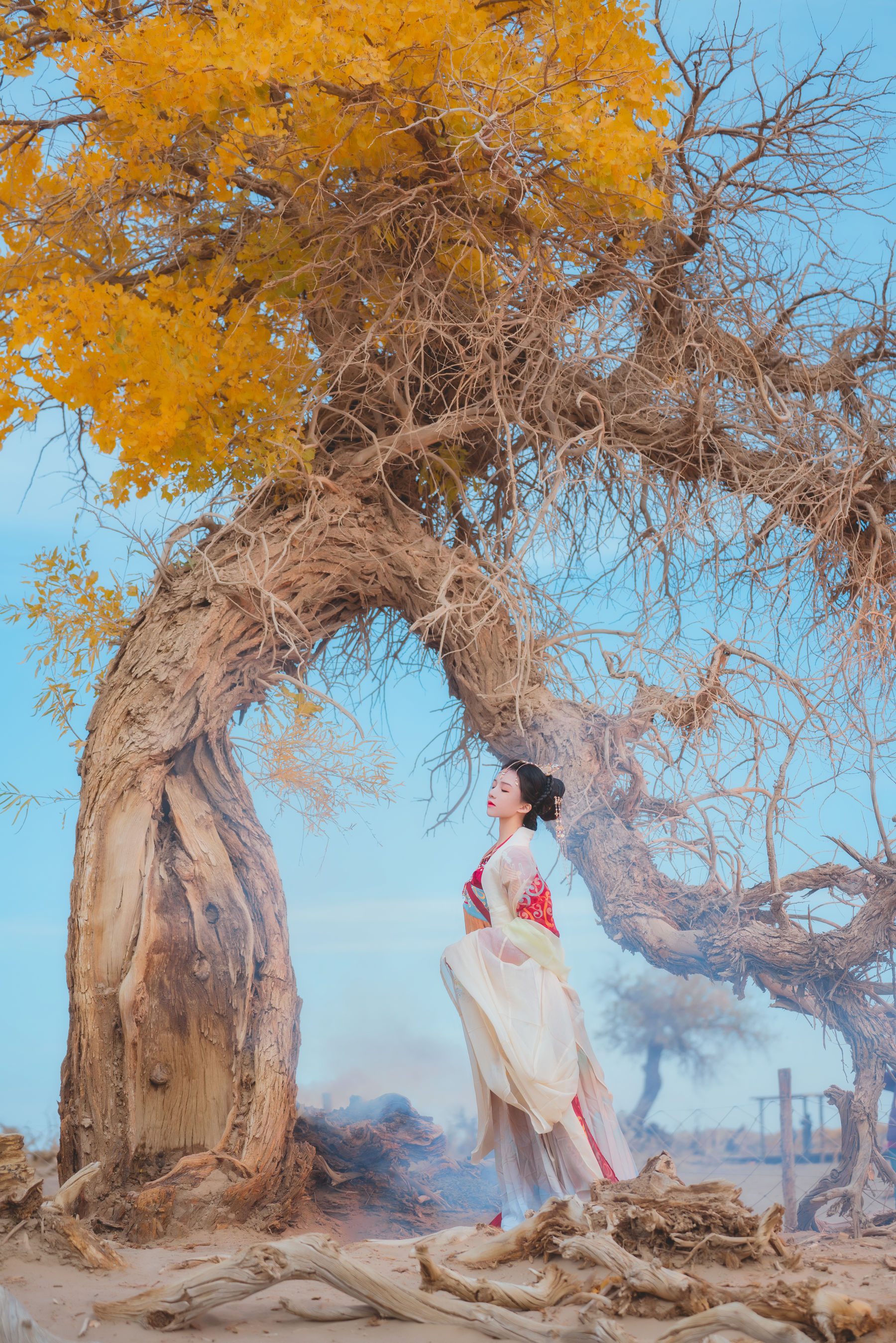 桜桃喵 - 惊鸿  第9张