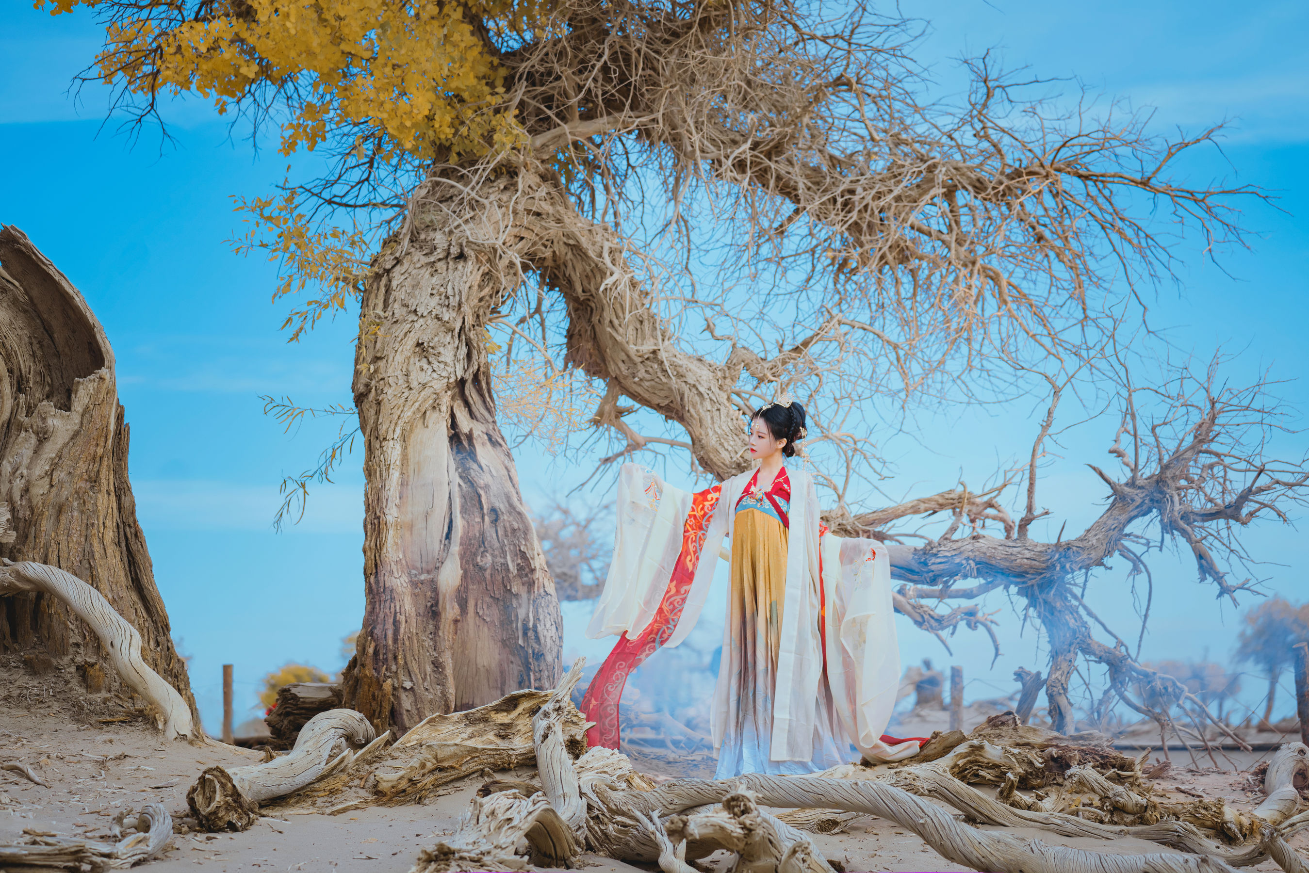 桜桃喵 - 惊鸿  第10张