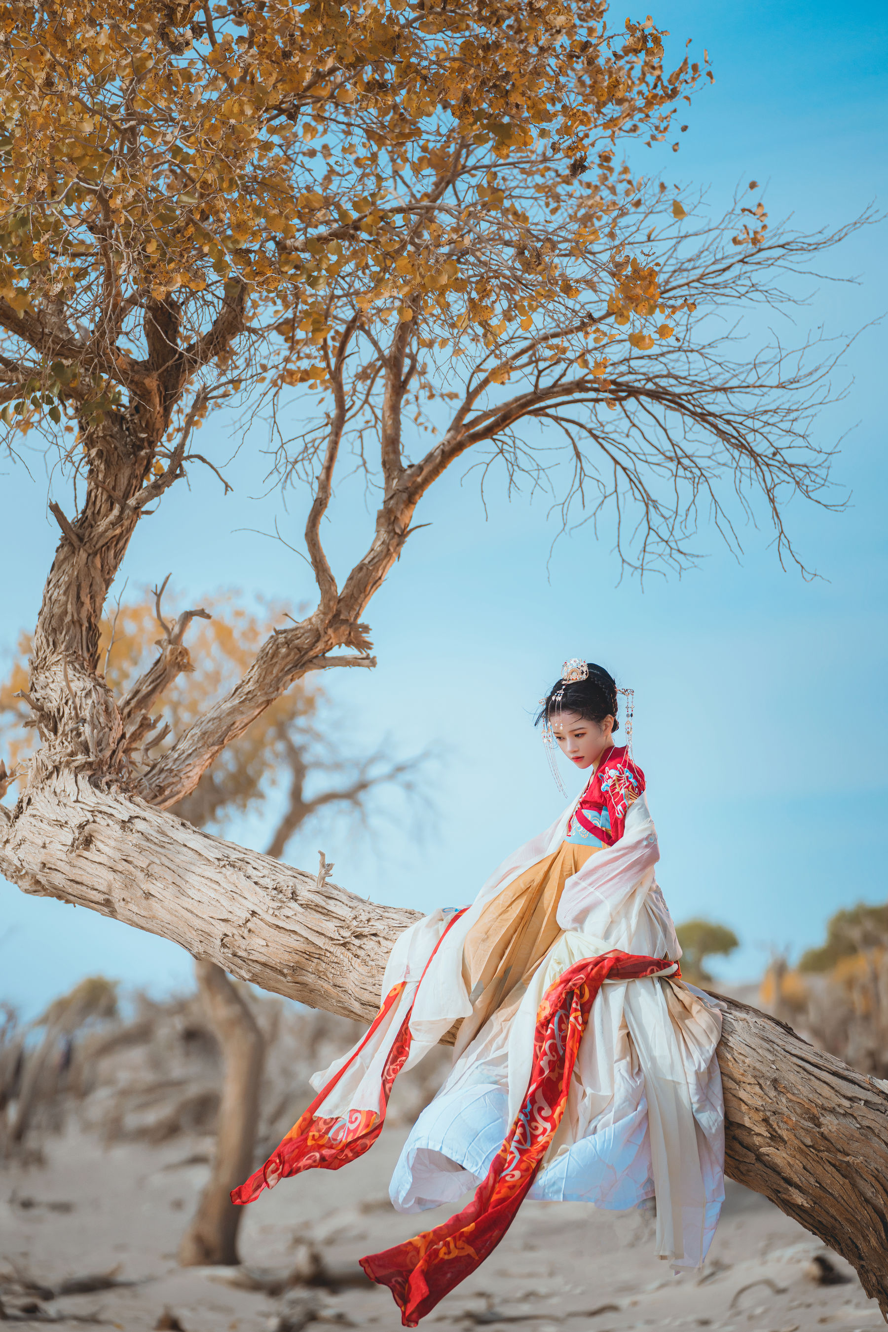 桜桃喵 - 惊鸿  第17张